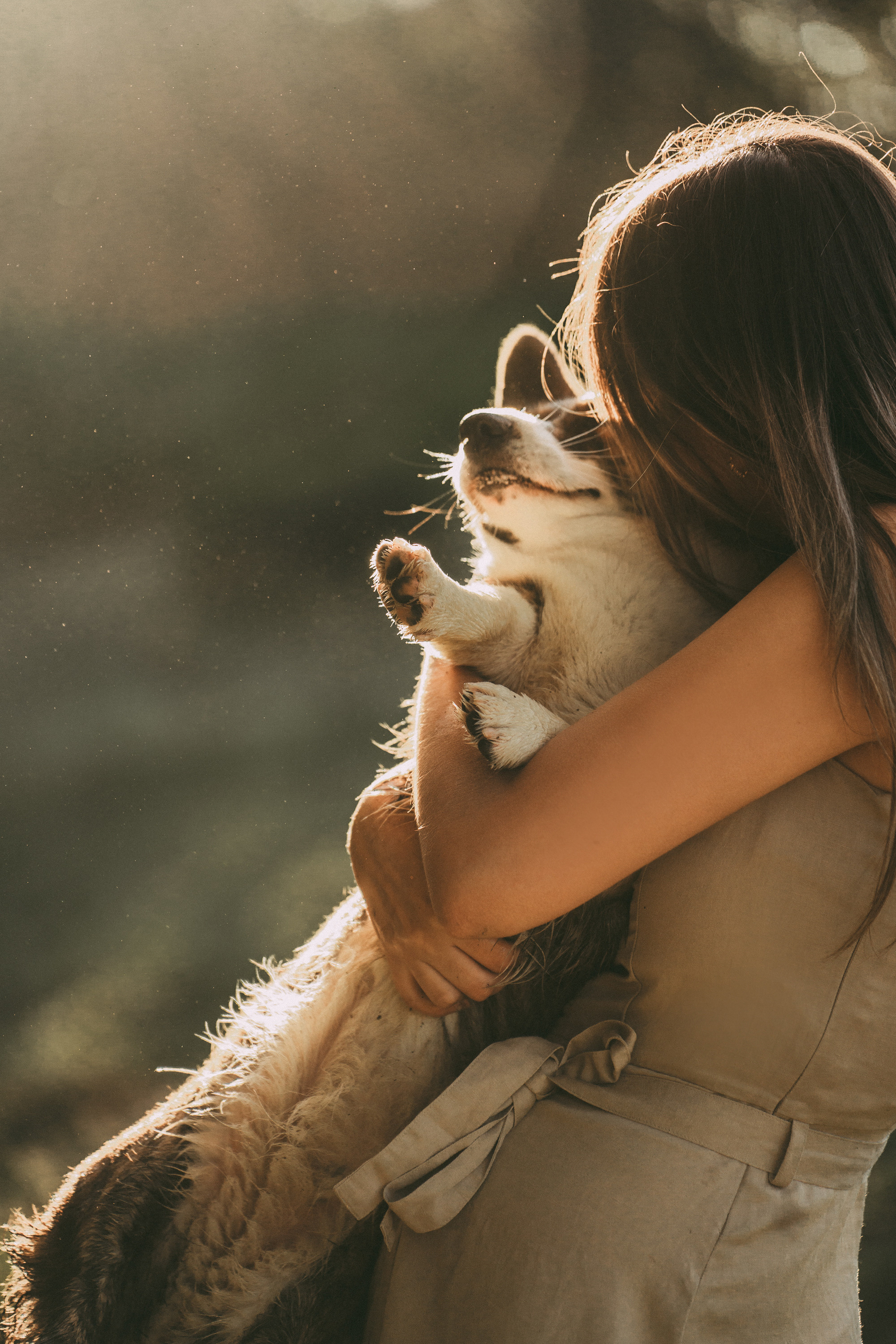 Влада и Коржики. Фотограф анималист в Москве и Санкт-Петербурге Свиридова Анна