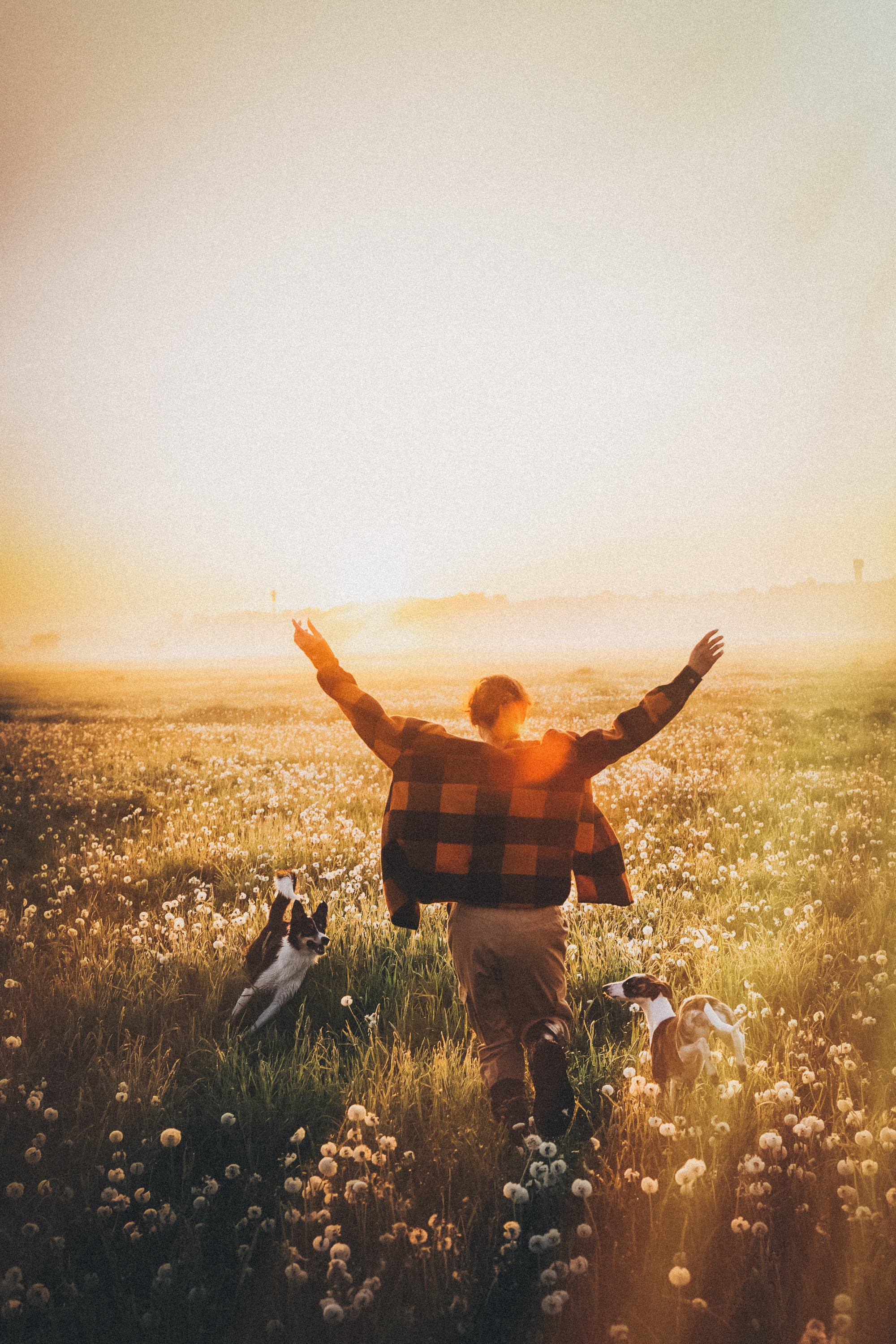 Софа, Уна и Лють. Фотограф анималист в Москве и Санкт-Петербурге Свиридова Анна