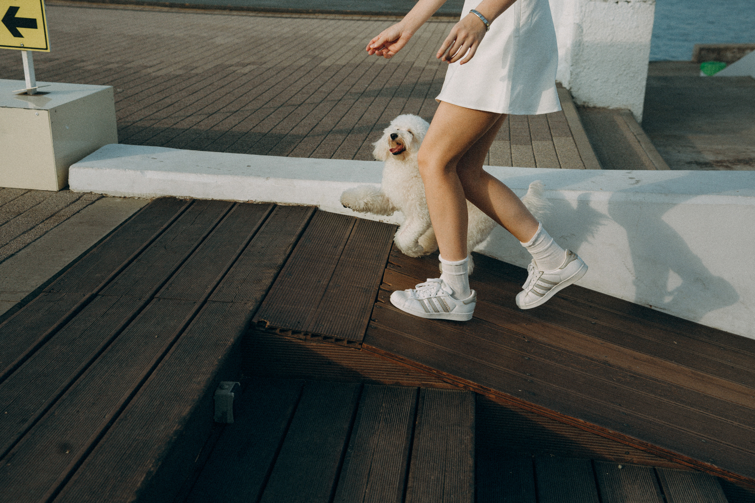 Ангелина и Варежка. Фотограф анималист в Москве и Санкт-Петербурге Свиридова Анна