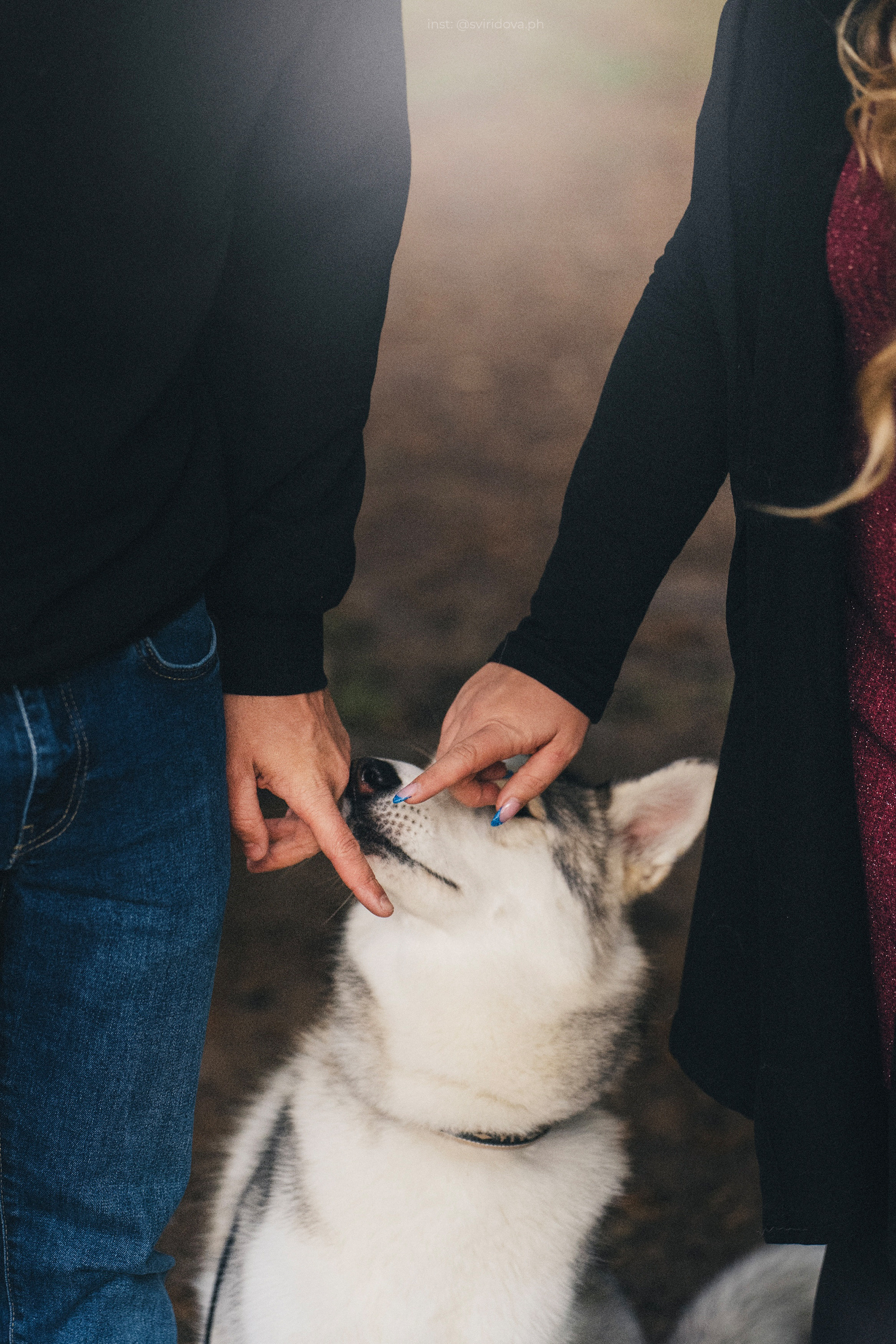 Катя, Илья, Лагерта. Фотограф анималист в Москве и Санкт-Петербурге Свиридова Анна
