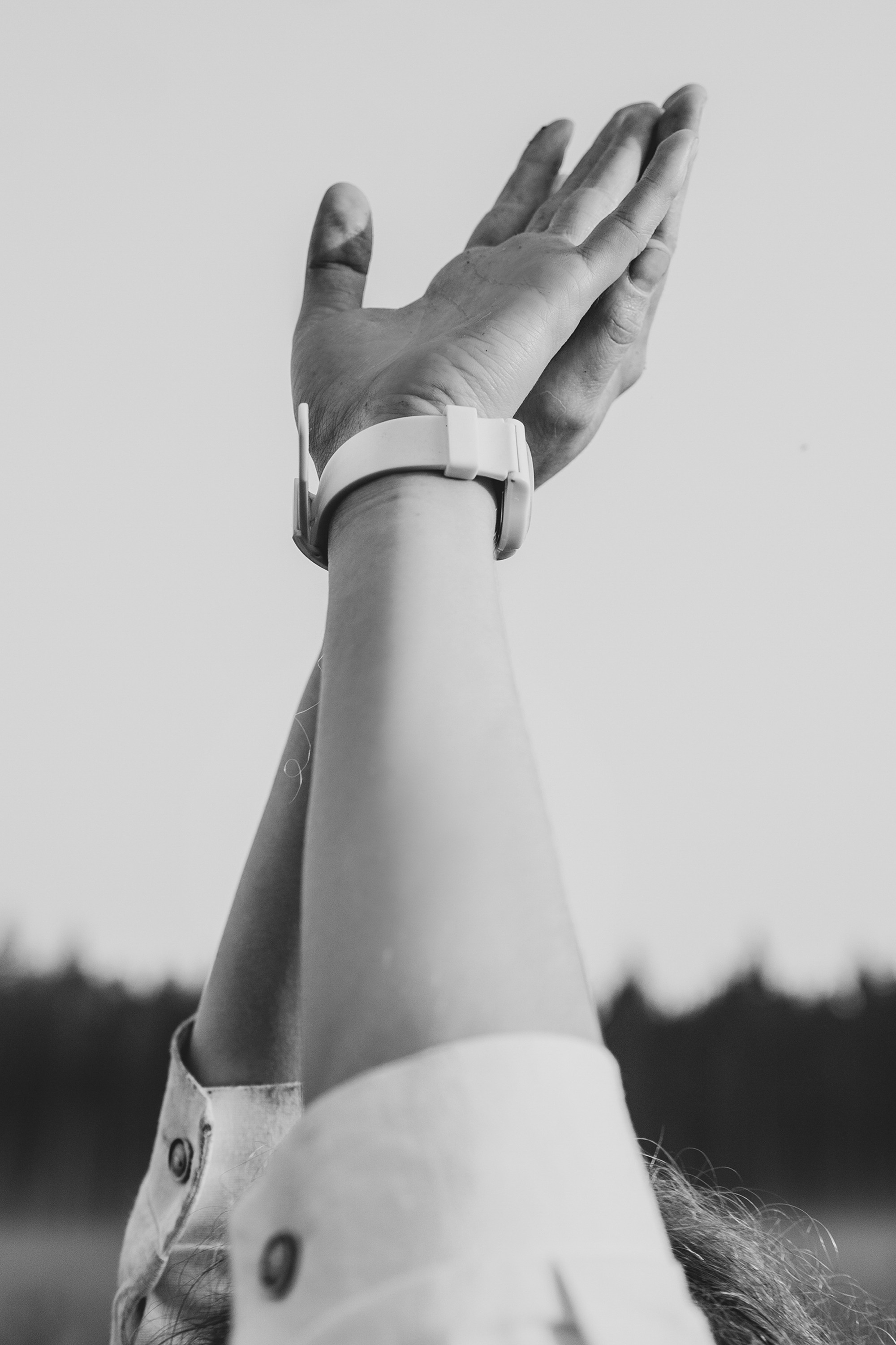 Лиза и Юста. Фотограф анималист в Москве и Санкт-Петербурге Свиридова Анна