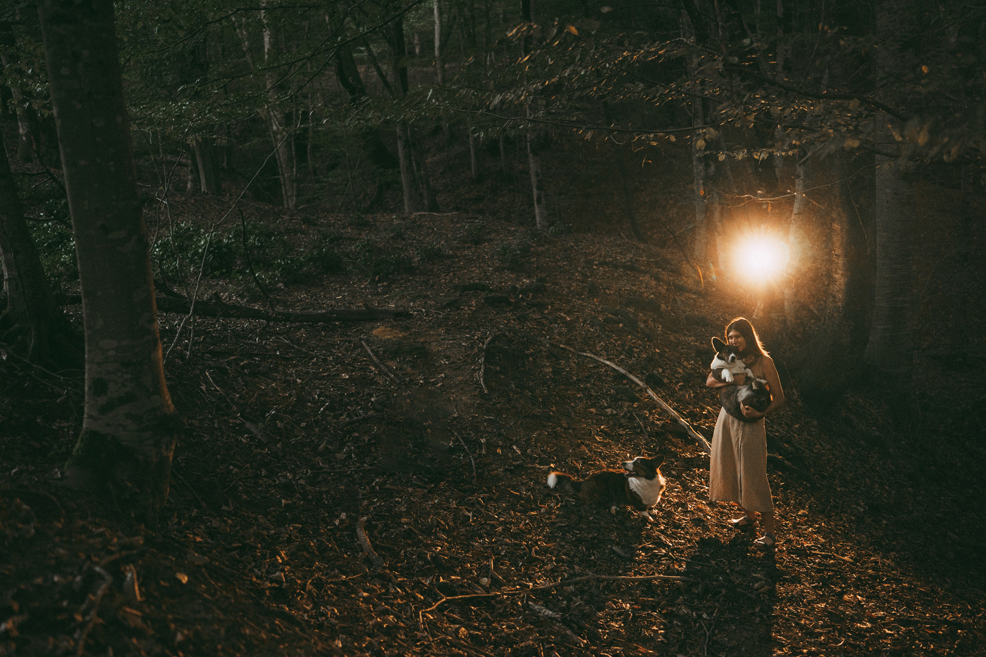 Влада и Коржики. Фотограф анималист в Москве и Санкт-Петербурге Свиридова Анна