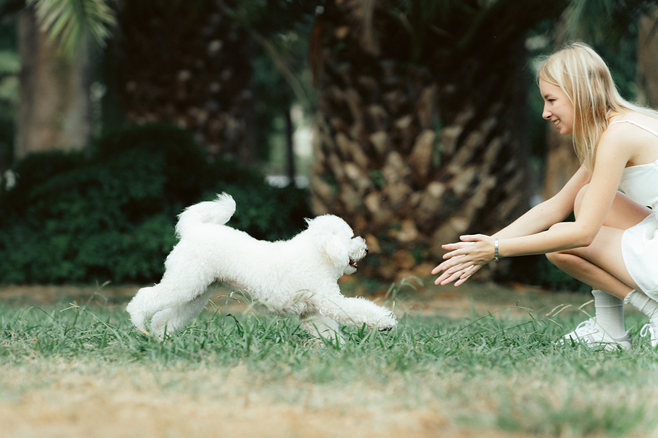 Ангелина и Варежка. Фотограф анималист в Москве и Санкт-Петербурге Свиридова Анна