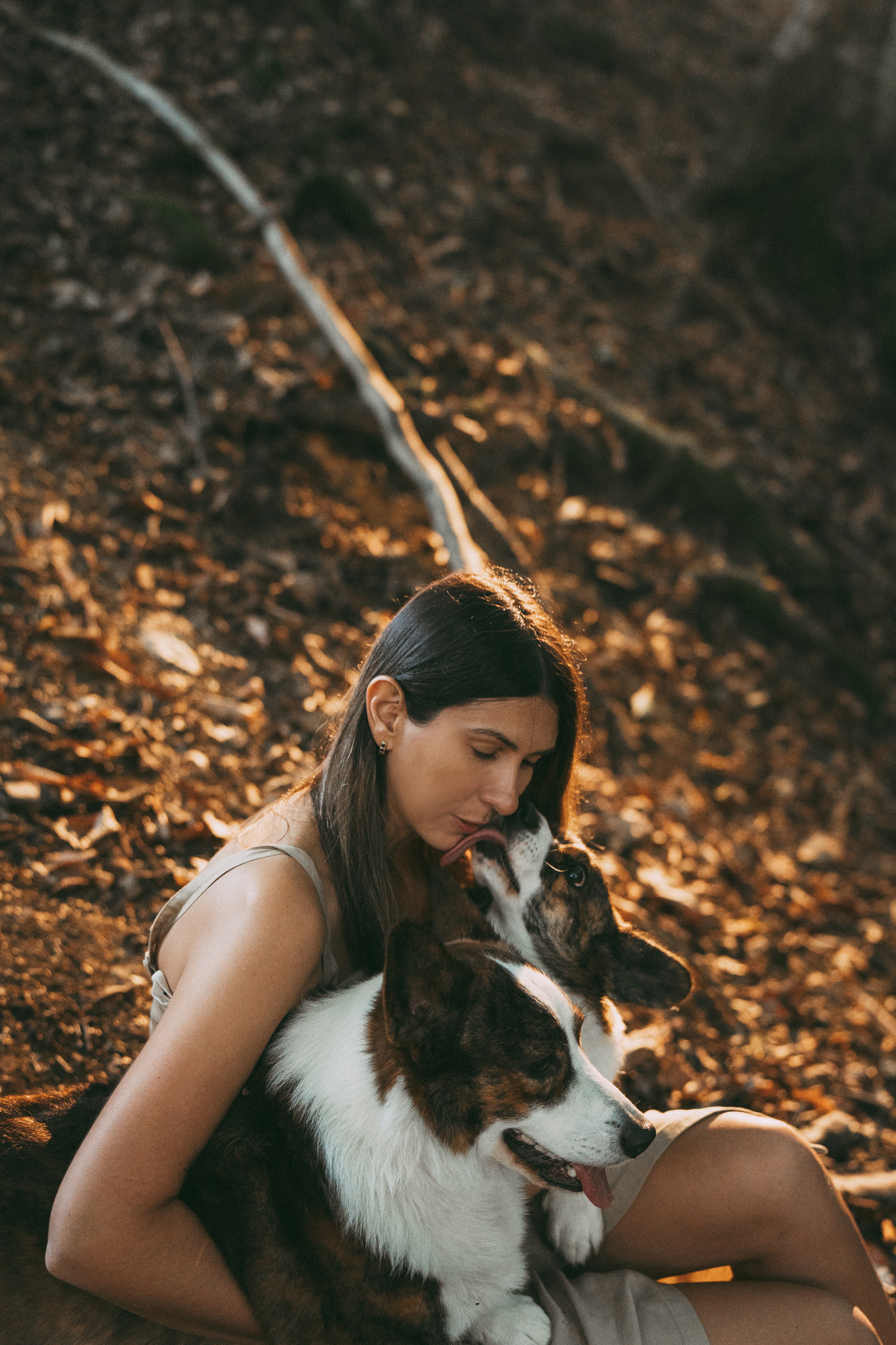 Влада и Коржики. Фотограф анималист в Москве и Санкт-Петербурге Свиридова Анна