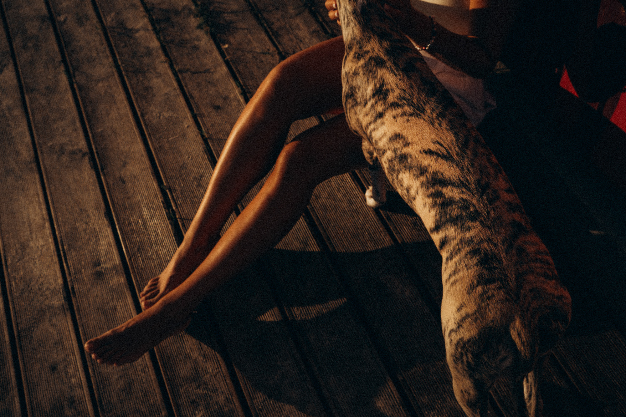 Аня и Джованни. Фотограф анималист в Москве и Санкт-Петербурге Свиридова Анна