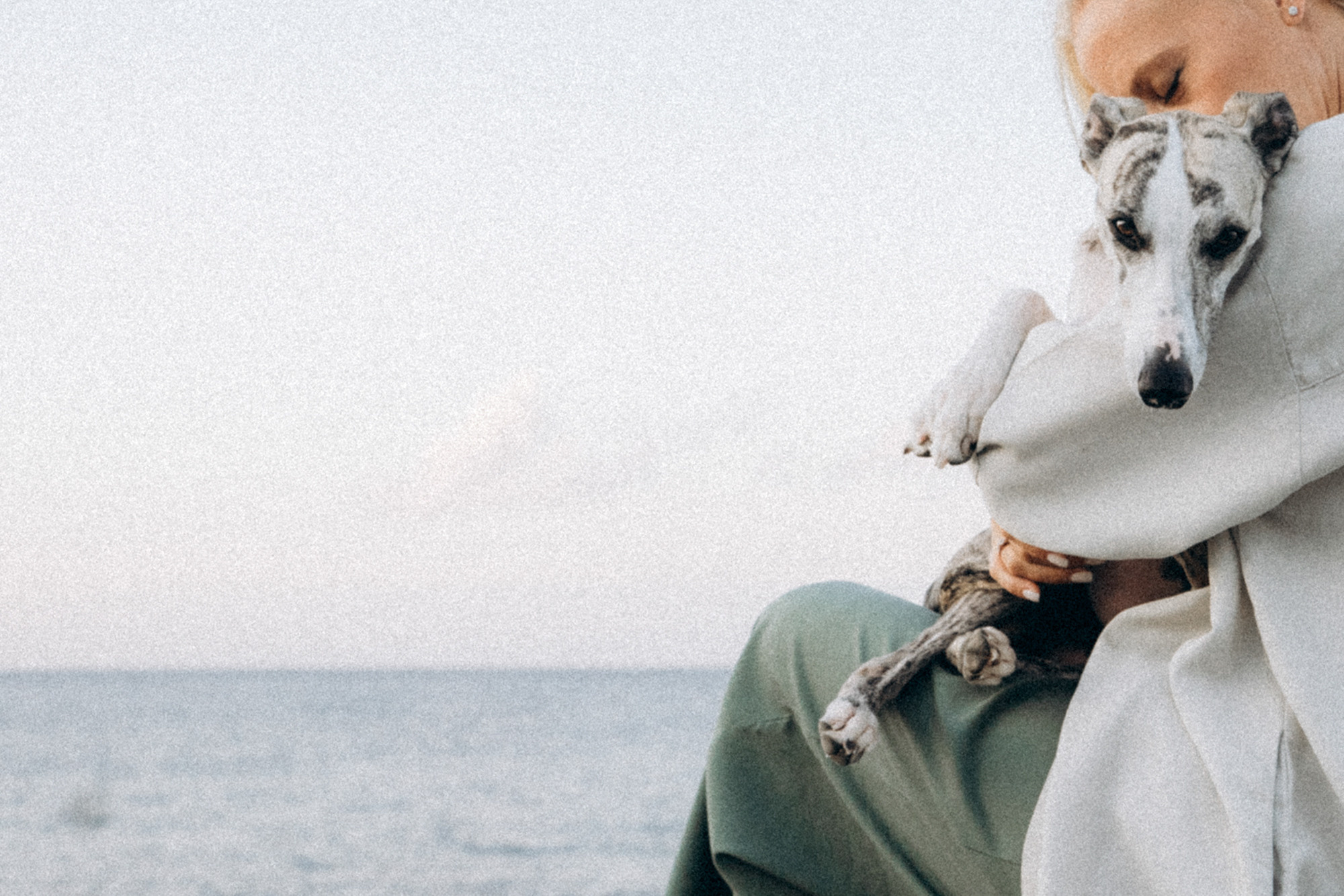 Аня и Джованни. Фотограф анималист в Москве и Санкт-Петербурге Свиридова Анна