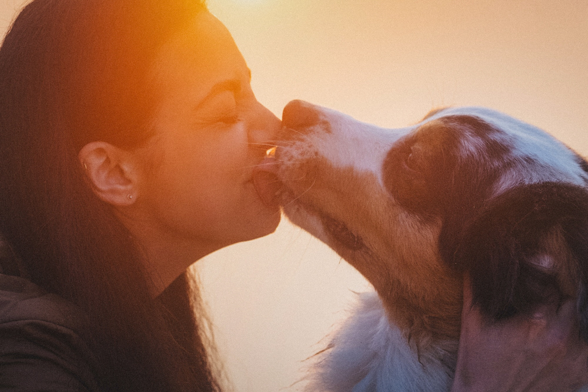 Аня, Игорь, Аусь и Хась. Фотограф анималист в Москве и Санкт-Петербурге Свиридова Анна