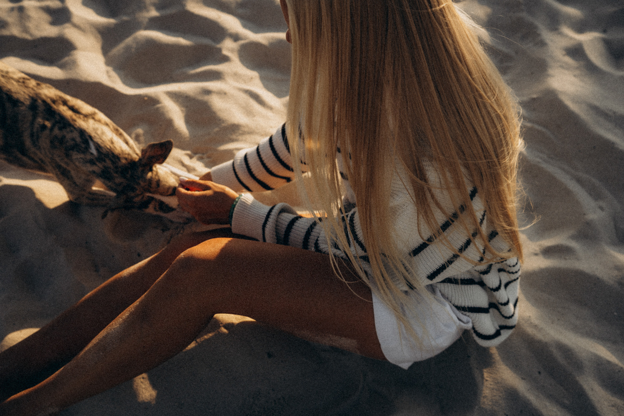 Аня и Джованни. Фотограф анималист в Москве и Санкт-Петербурге Свиридова Анна