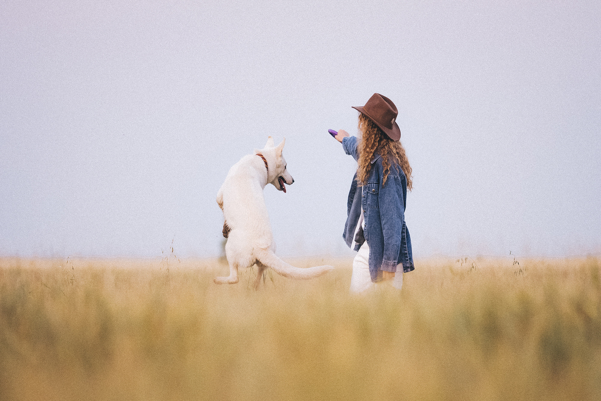 Лиза и Юста. Фотограф анималист в Москве и Санкт-Петербурге Свиридова Анна