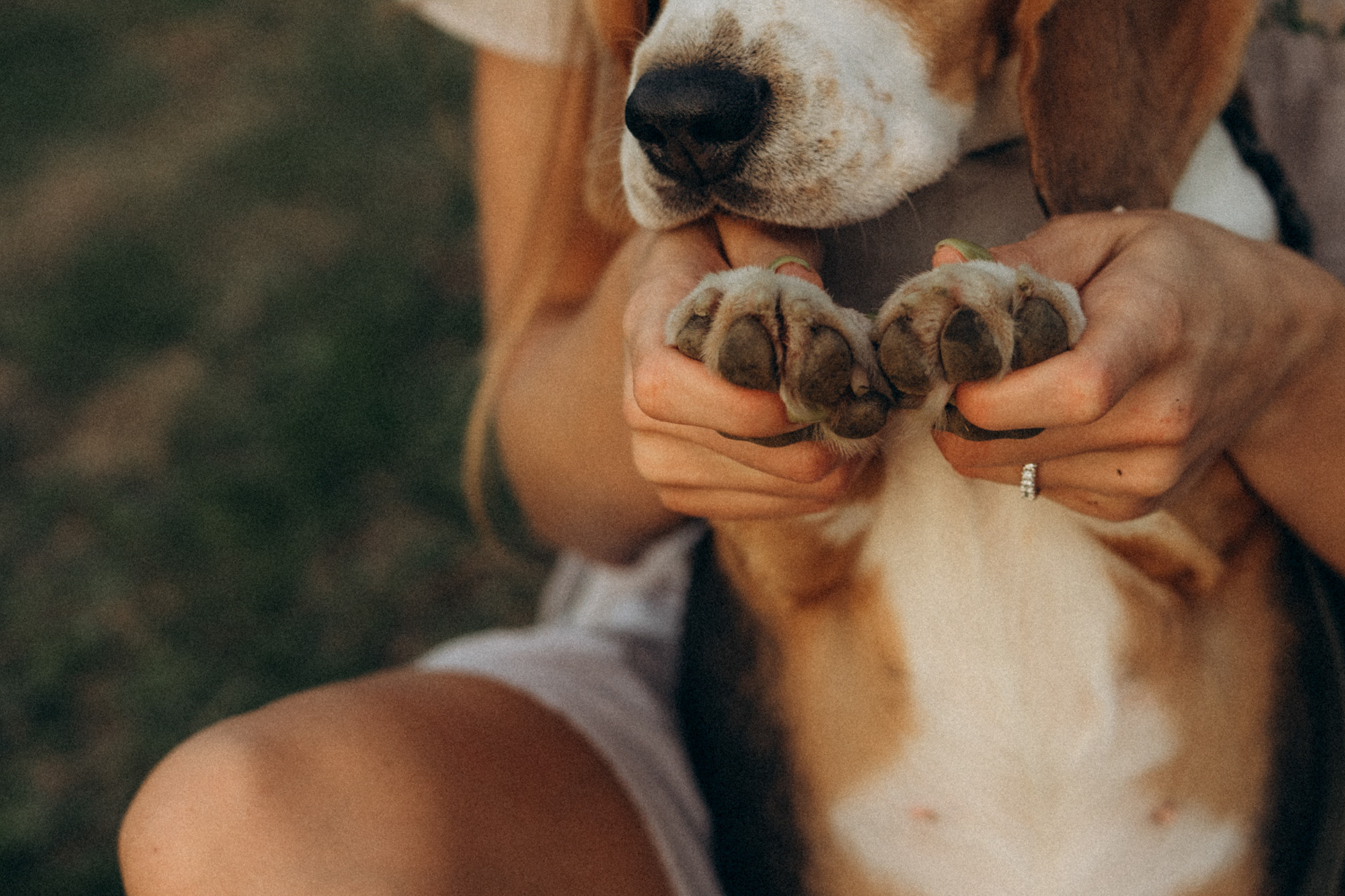 Женя и Мира. Фотограф анималист в Москве и Санкт-Петербурге Свиридова Анна