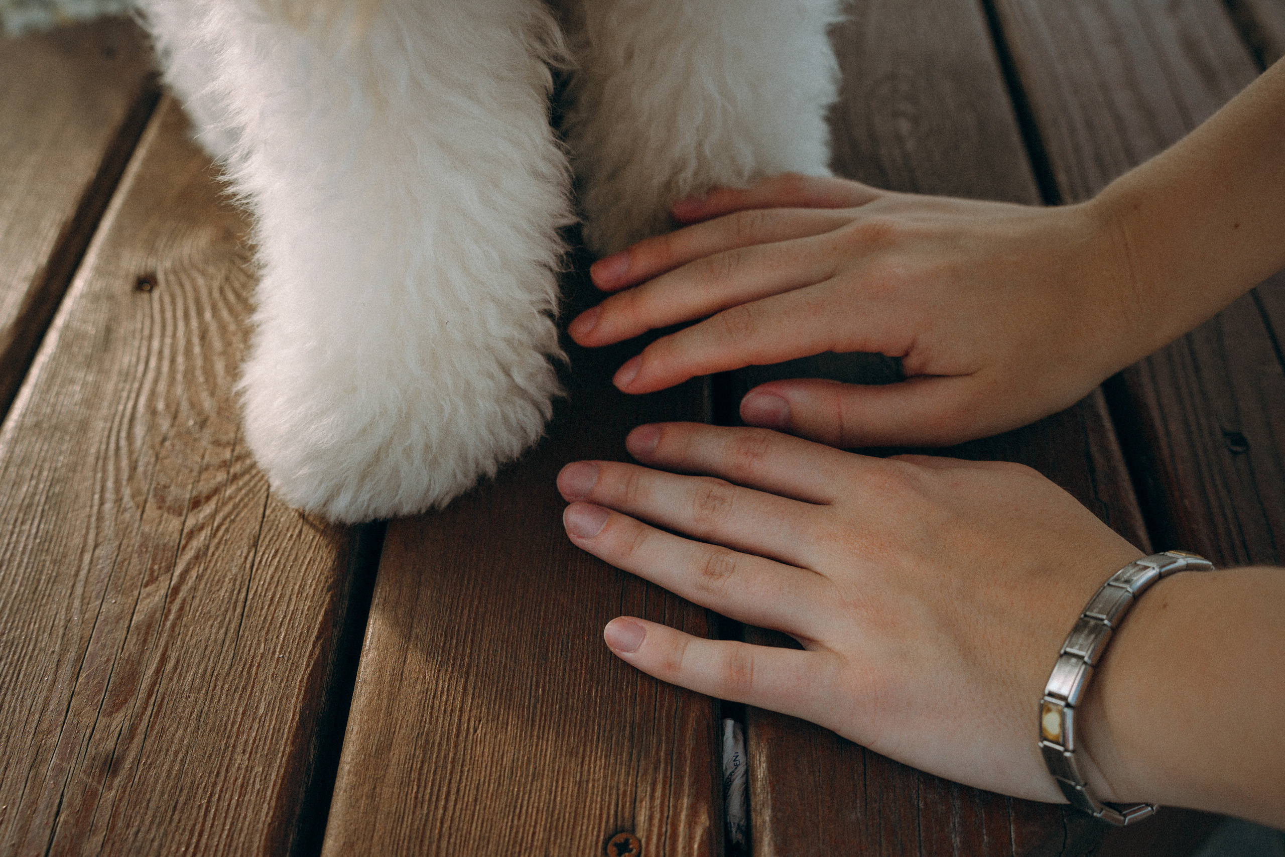 Ангелина и Варежка. Фотограф анималист в Москве и Санкт-Петербурге Свиридова Анна