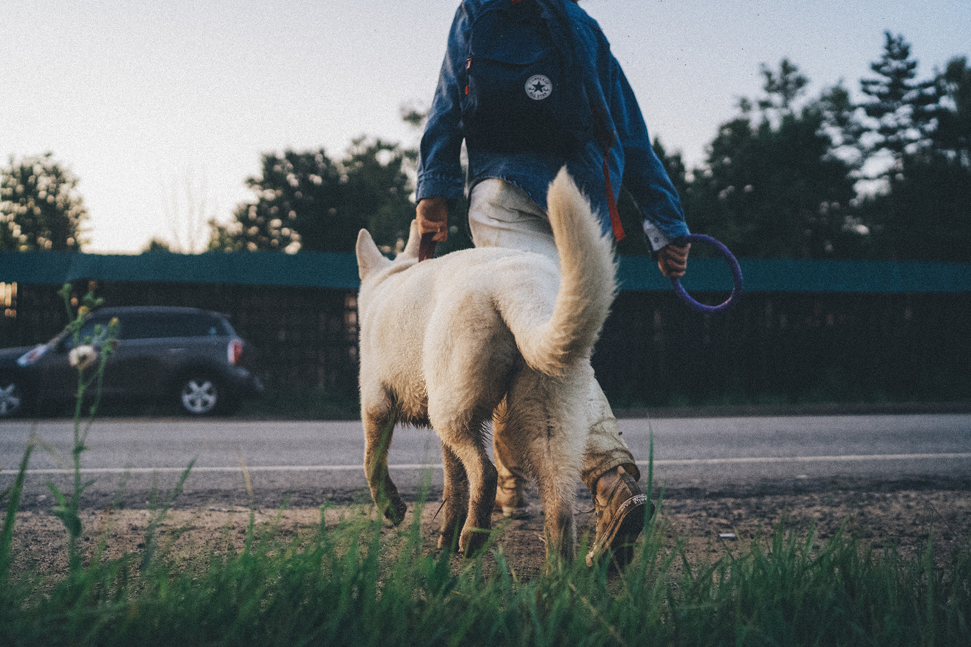 Лиза и Юста. Фотограф анималист в Москве и Санкт-Петербурге Свиридова Анна