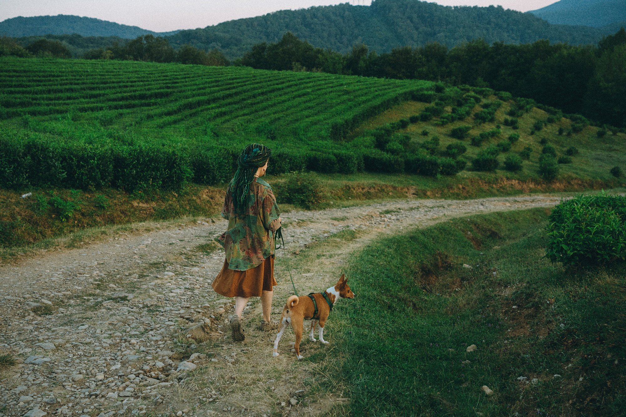 Арина и Рики. Фотограф анималист в Москве и Санкт-Петербурге Свиридова Анна
