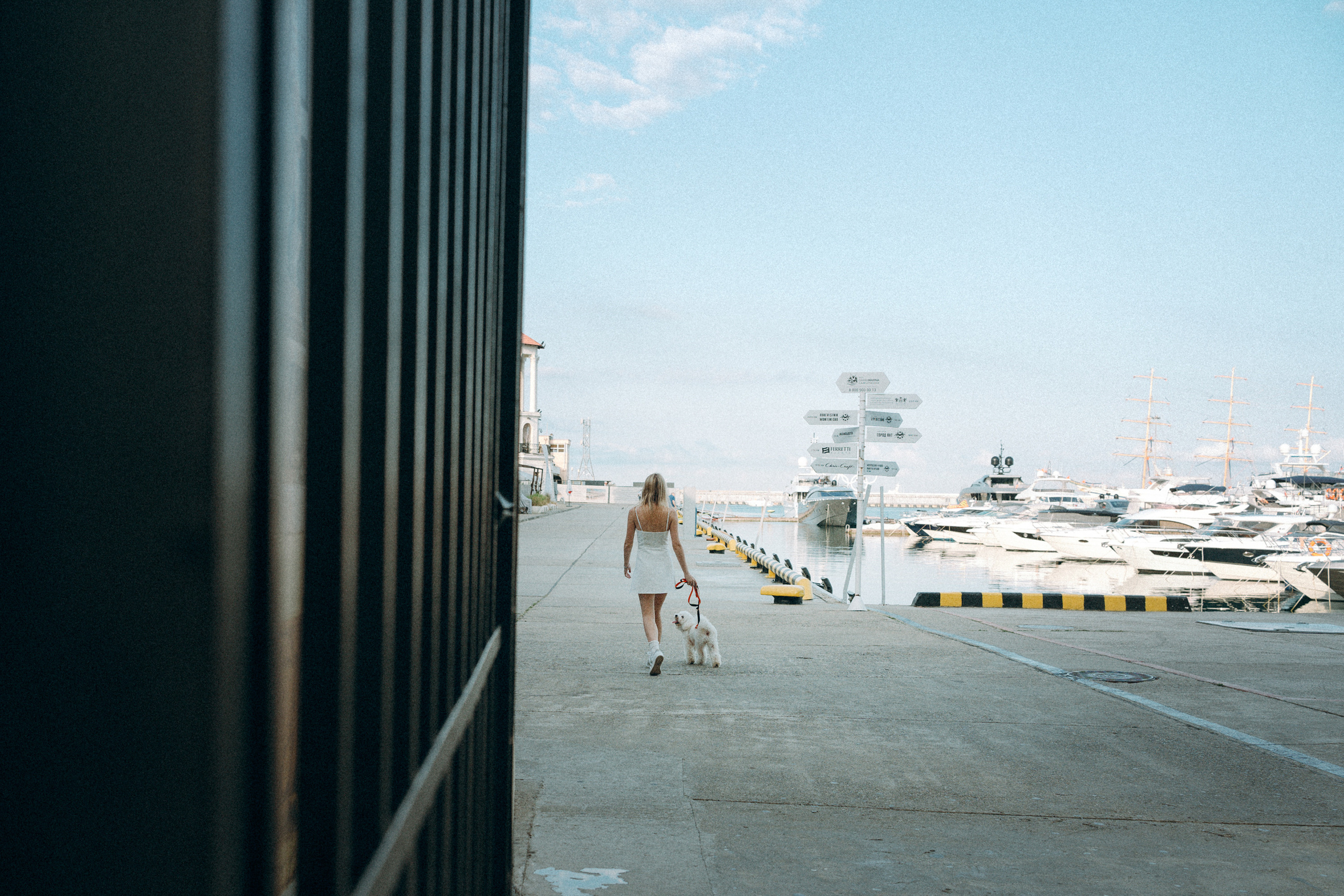 Ангелина и Варежка. Фотограф анималист в Москве и Санкт-Петербурге Свиридова Анна