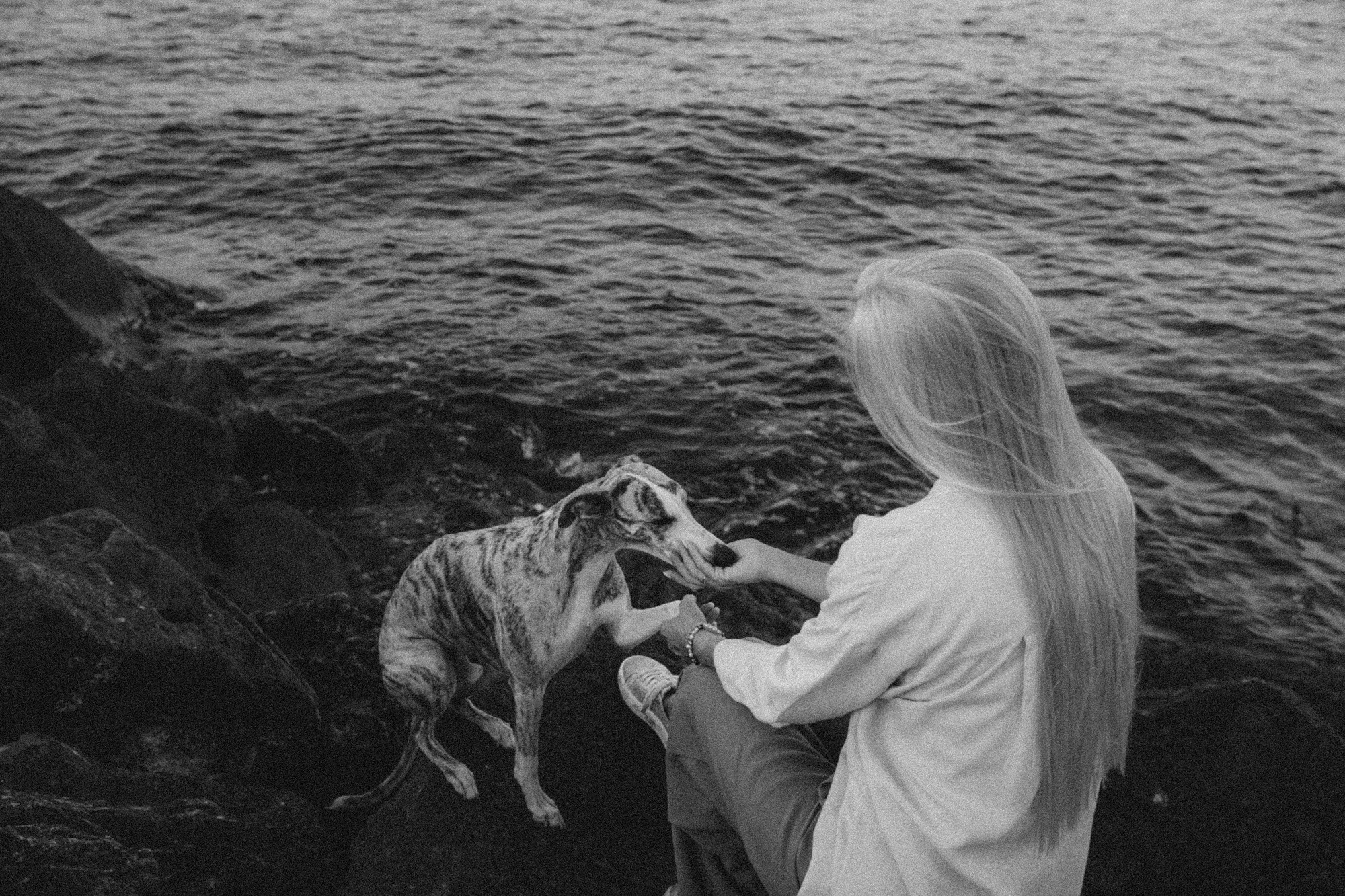 Аня и Джованни. Фотограф анималист в Москве и Санкт-Петербурге Свиридова Анна