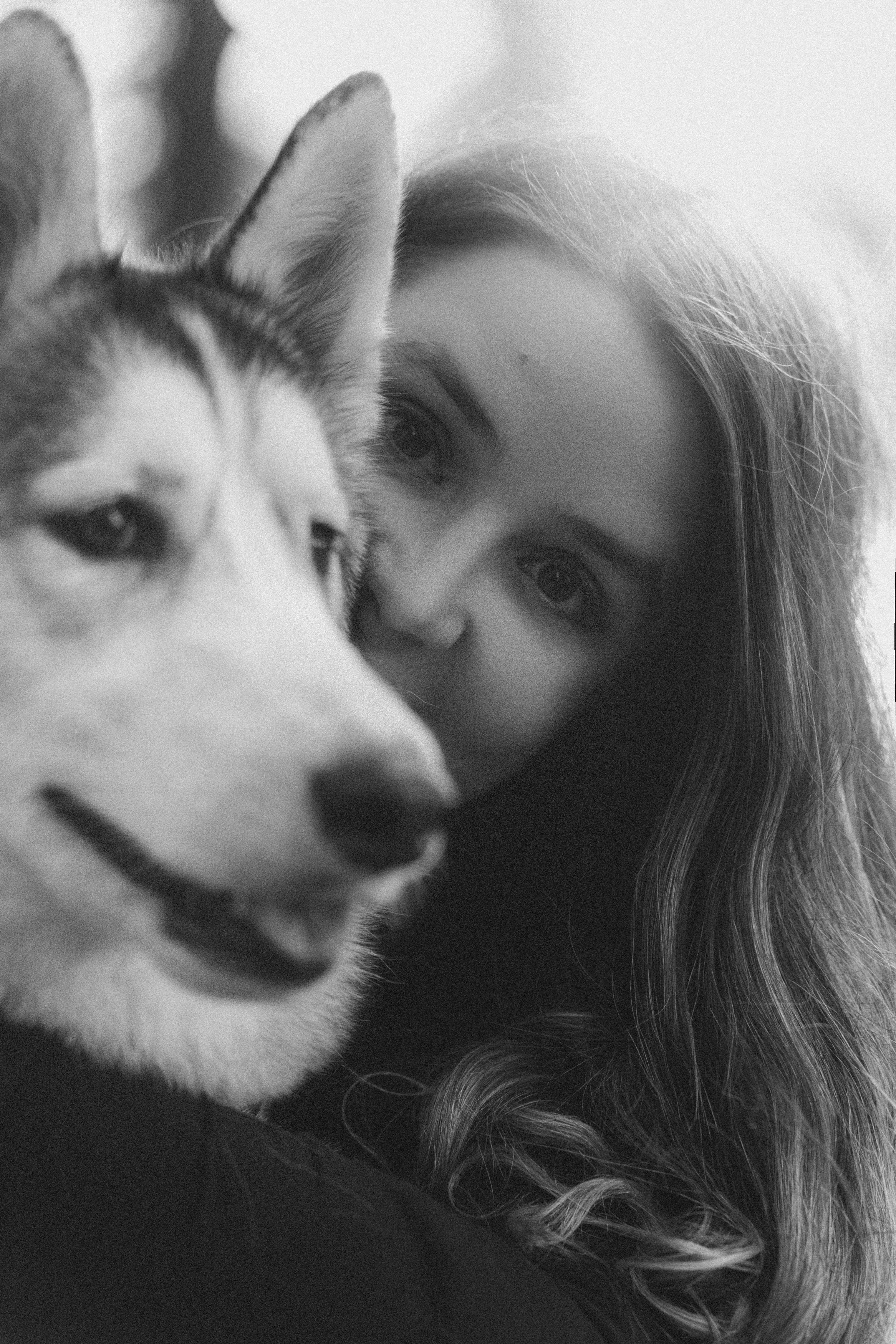 Катя, Илья, Лагерта. Фотограф анималист в Москве и Санкт-Петербурге Свиридова Анна