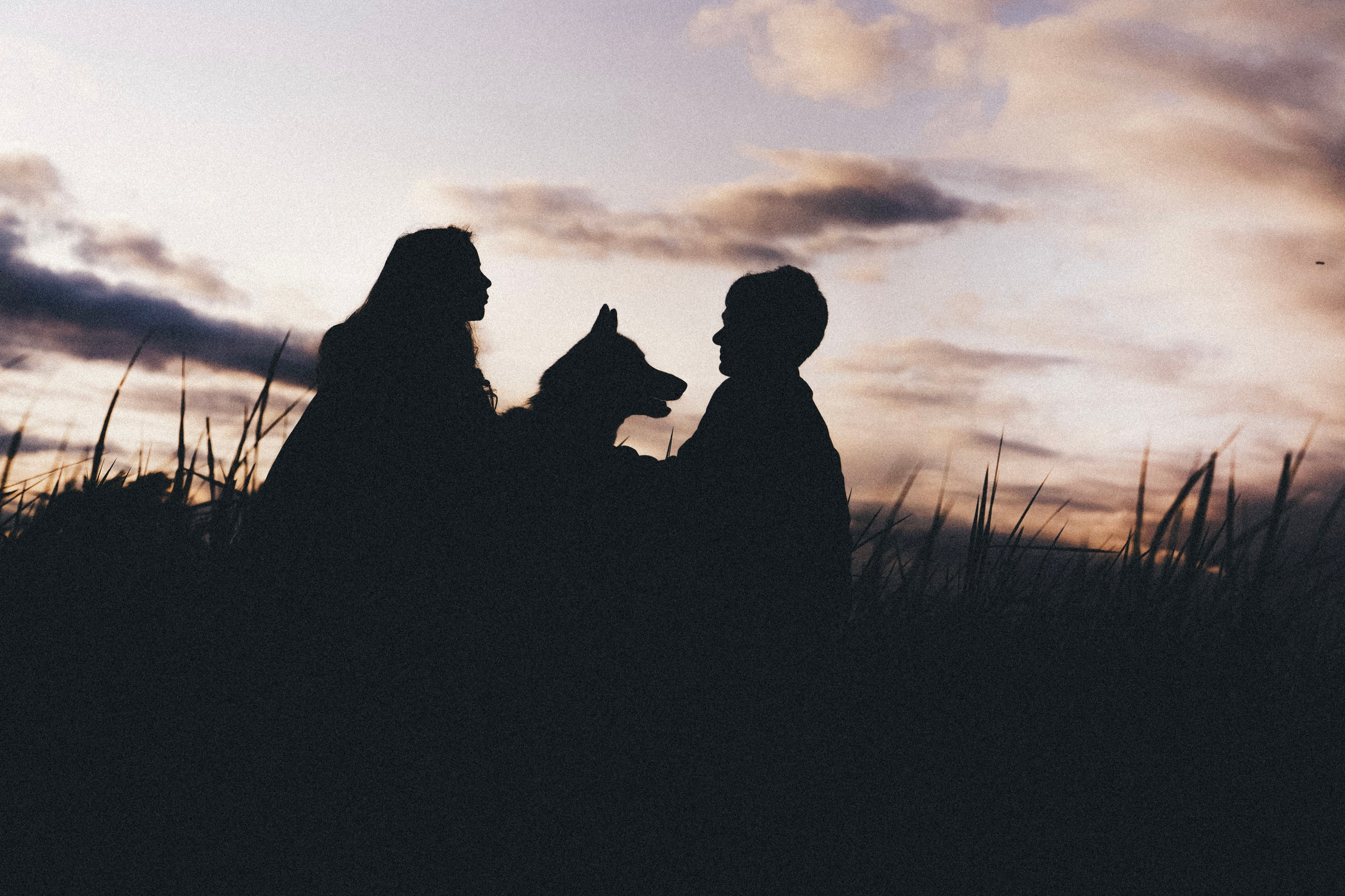 Катя, Илья, Лагерта. Фотограф анималист в Москве и Санкт-Петербурге Свиридова Анна