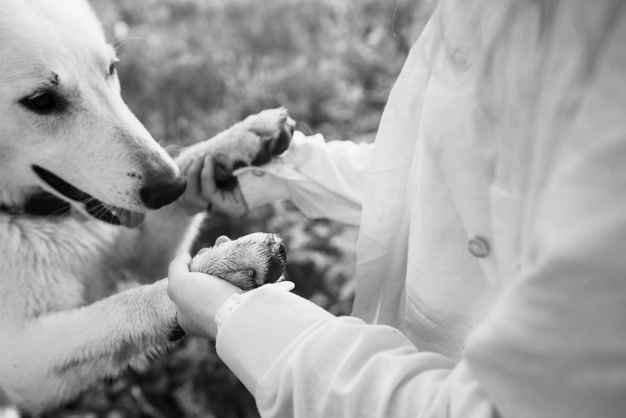 Лиза и Юста. Фотограф анималист в Москве и Санкт-Петербурге Свиридова Анна