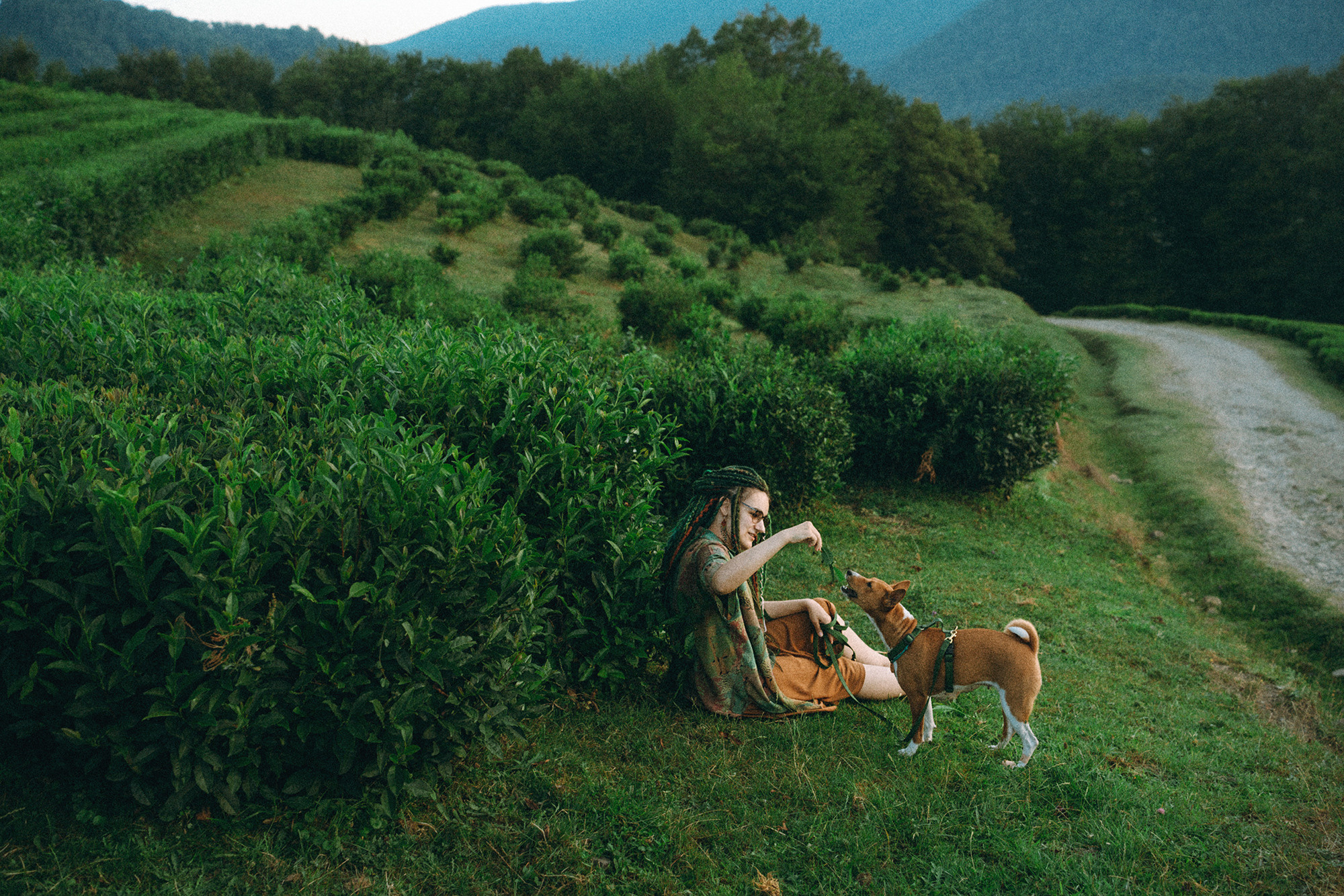 Арина и Рики. Фотограф анималист в Москве и Санкт-Петербурге Свиридова Анна