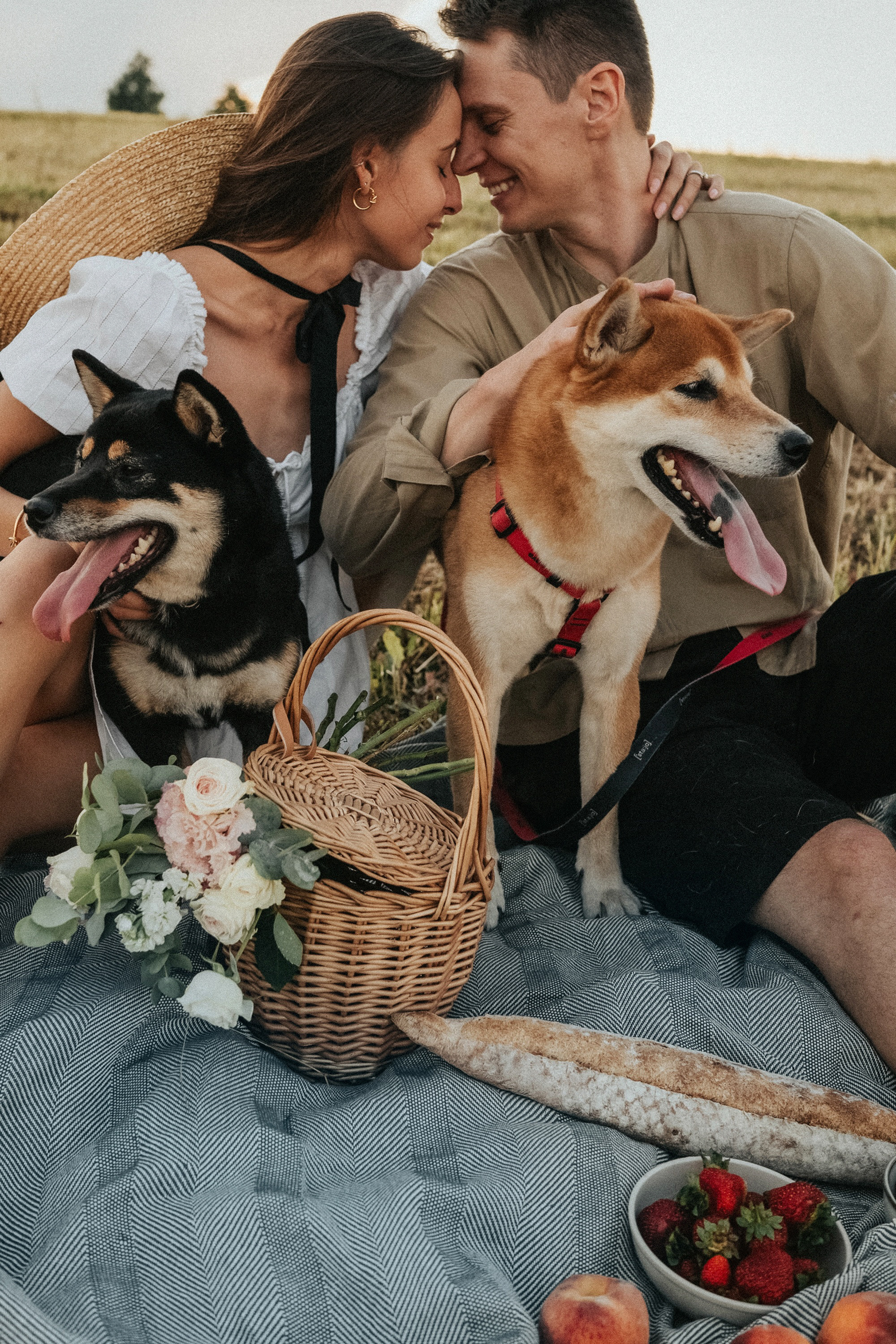 Катя, Вася, Роки и Бэлла. Фотограф анималист в Москве и Санкт-Петербурге Свиридова Анна