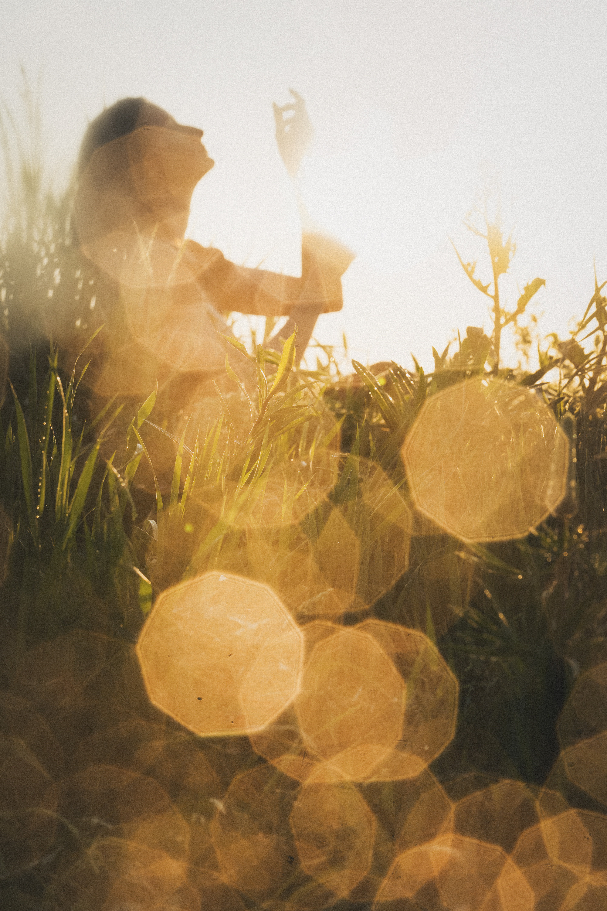 Софа, Уна и Лють. Фотограф анималист в Москве и Санкт-Петербурге Свиридова Анна