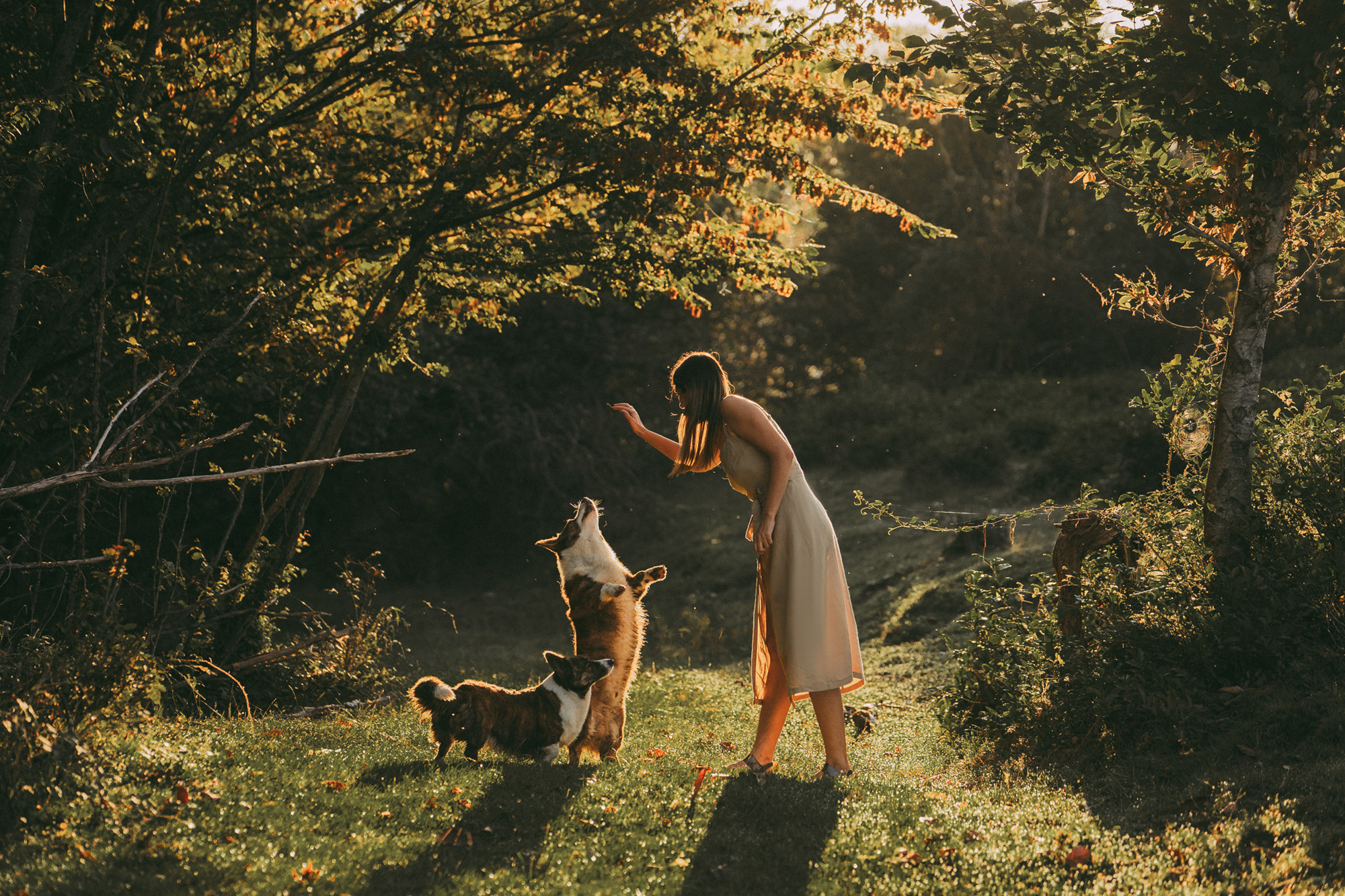 Влада и Коржики. Фотограф анималист в Москве и Санкт-Петербурге Свиридова Анна