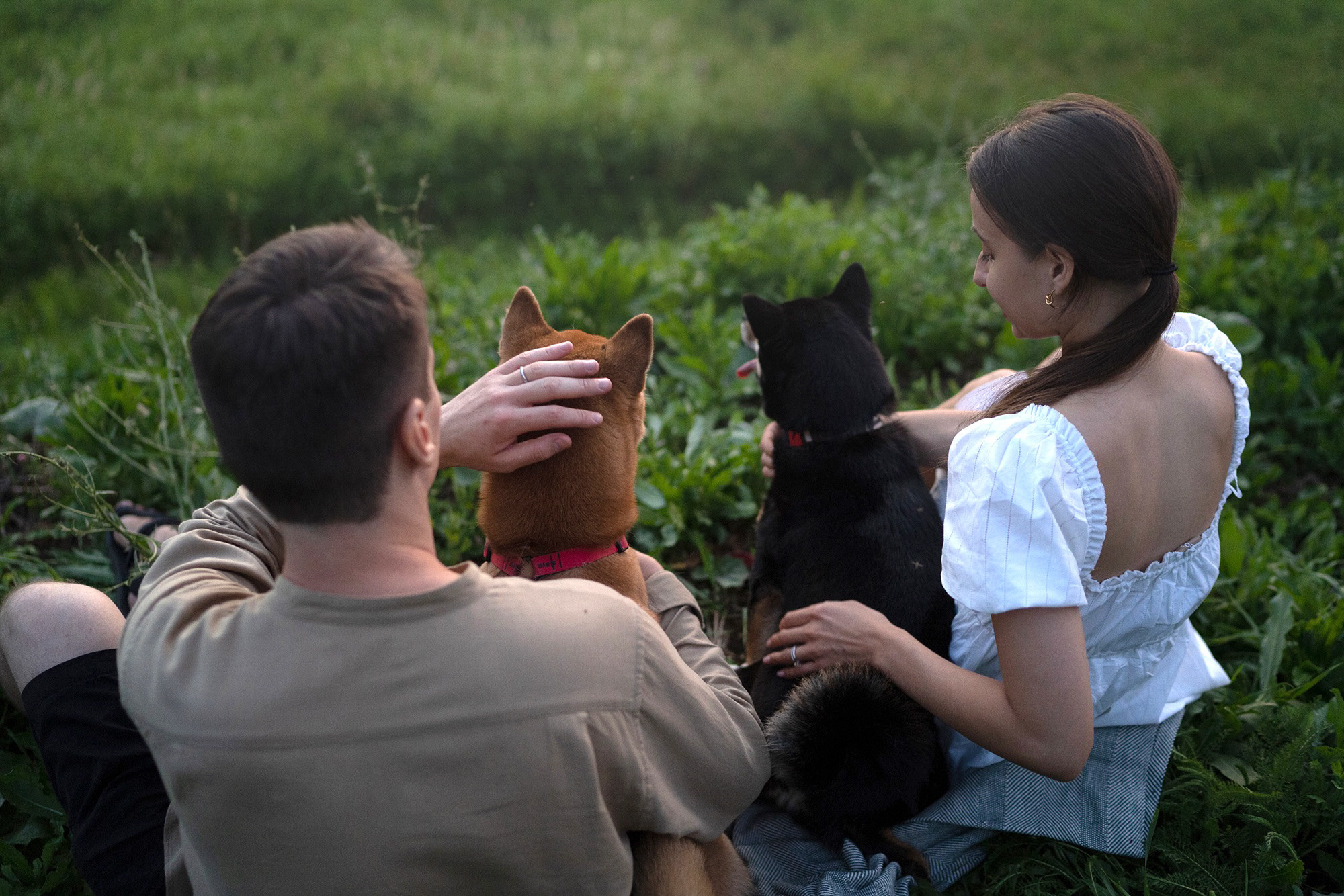 Катя, Вася, Роки и Бэлла. Фотограф анималист в Москве и Санкт-Петербурге Свиридова Анна