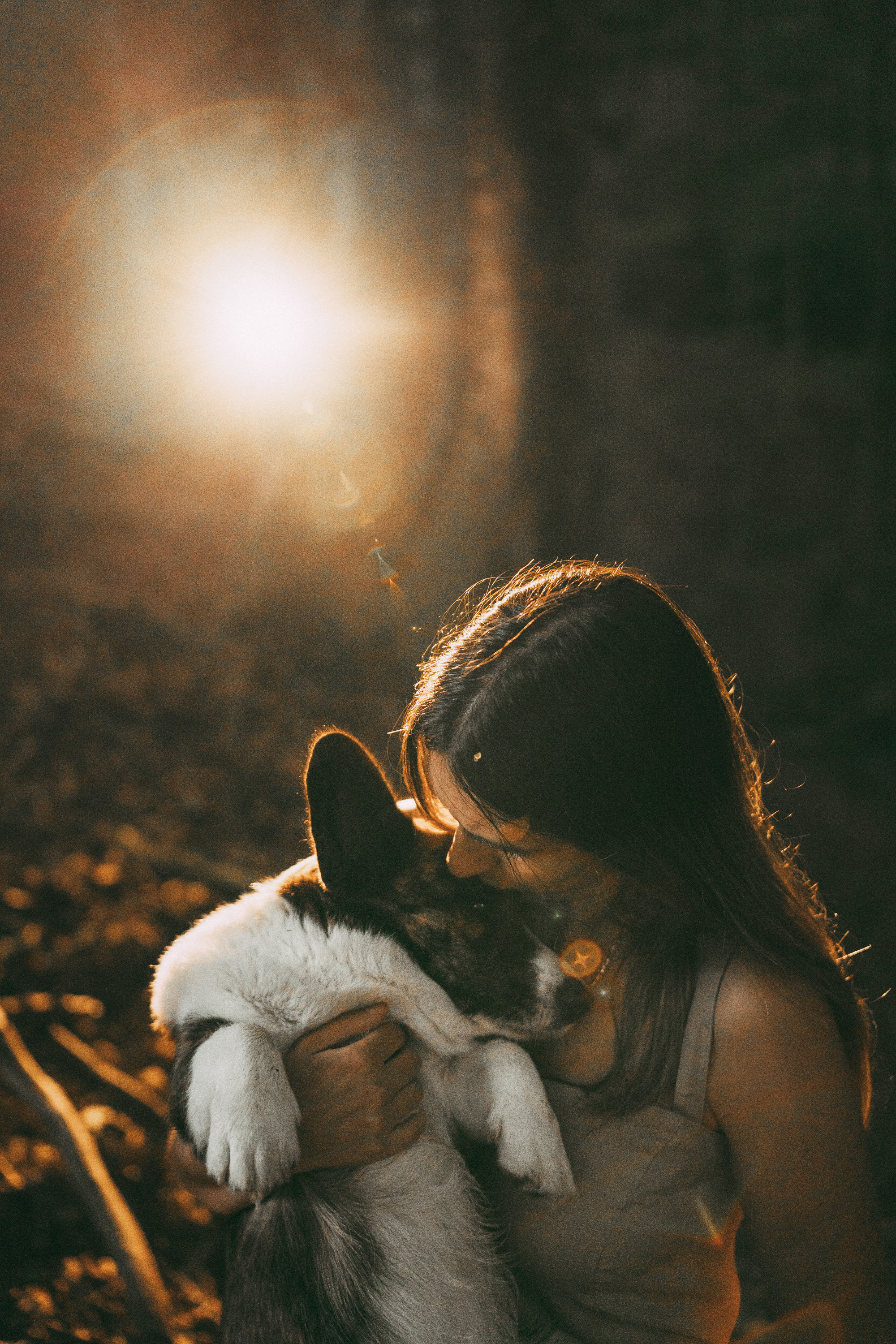 Влада и Коржики. Фотограф анималист в Москве и Санкт-Петербурге Свиридова Анна