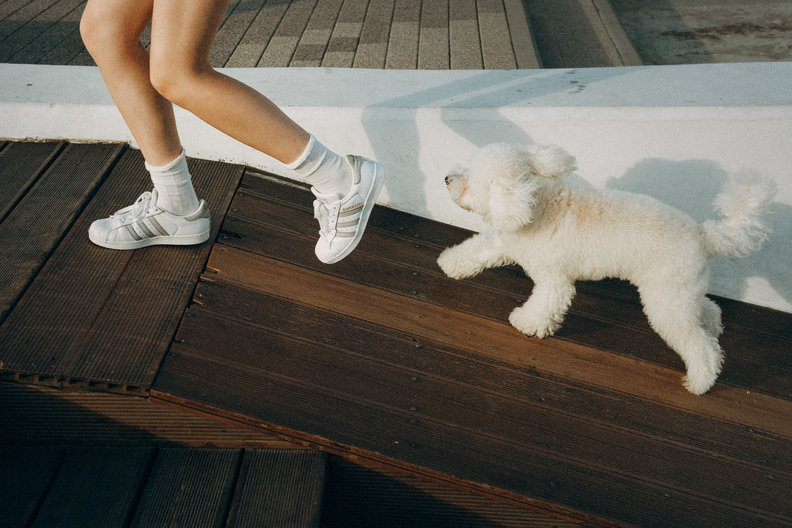 Ангелина и Варежка. Фотограф анималист в Москве и Санкт-Петербурге Свиридова Анна