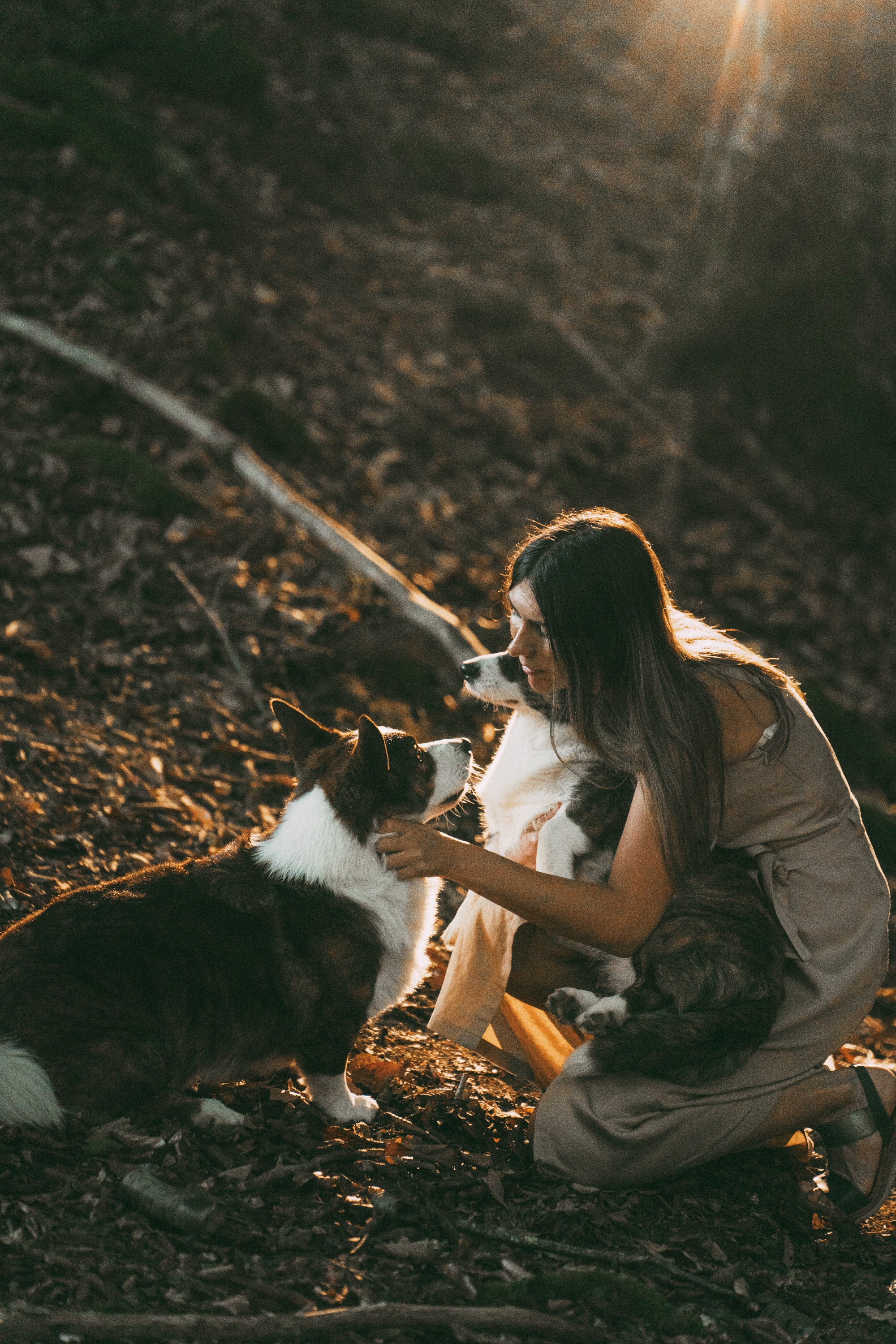 Влада и Коржики. Фотограф анималист в Москве и Санкт-Петербурге Свиридова Анна