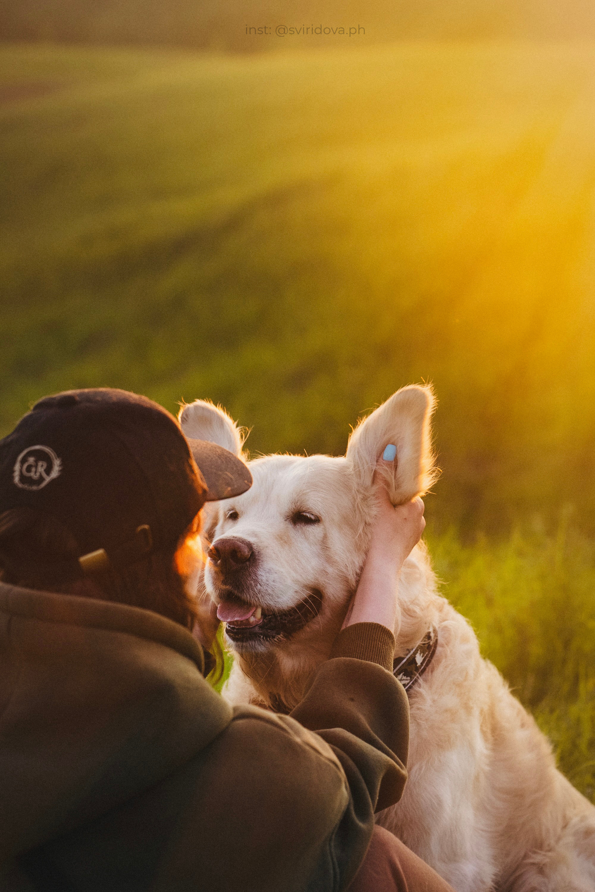 Настя и Арчи. Фотограф анималист в Москве и Санкт-Петербурге Свиридова Анна