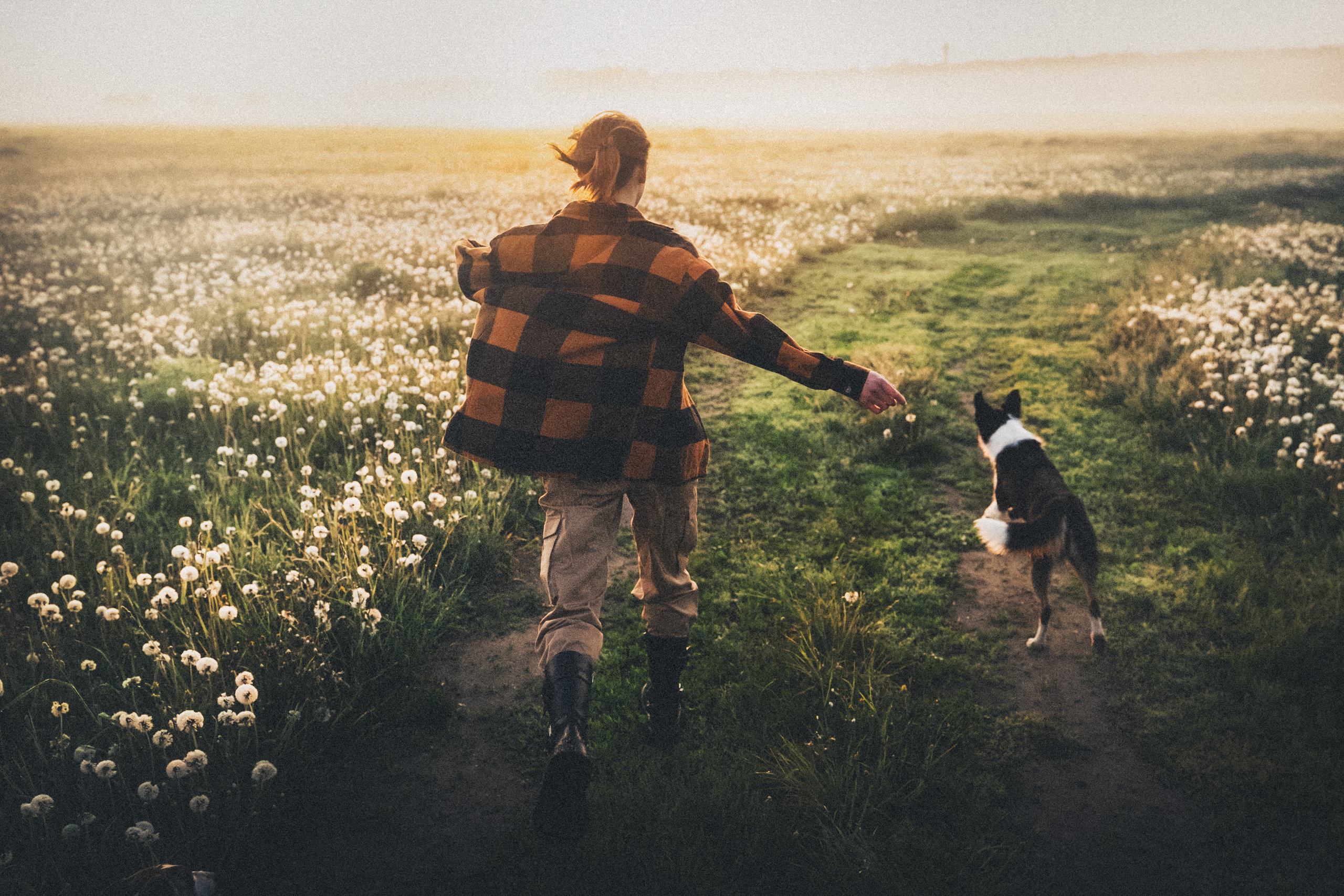 Софа, Уна и Лють. Фотограф анималист в Москве и Санкт-Петербурге Свиридова Анна