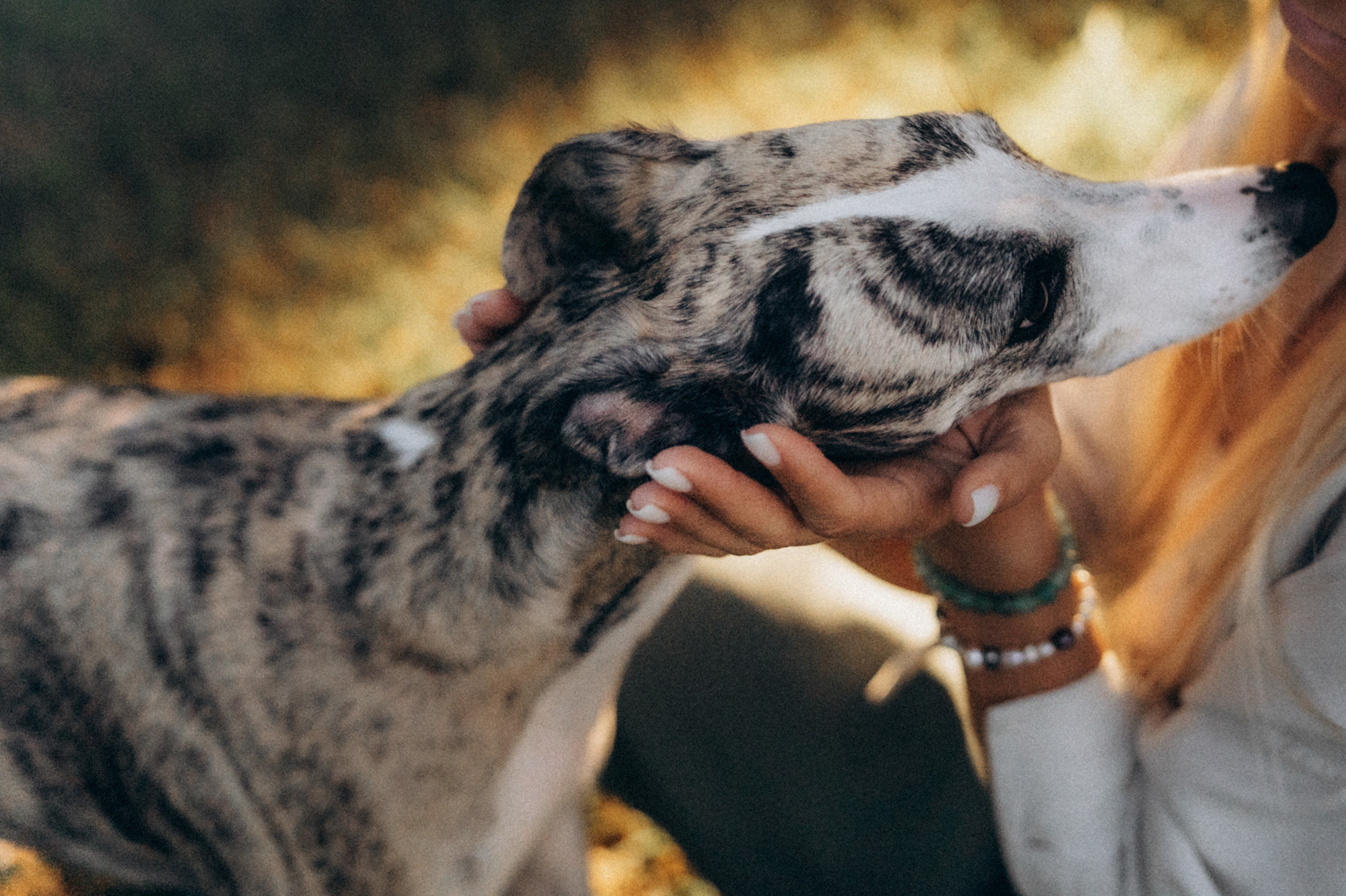 Аня и Джованни. Фотограф анималист в Москве и Санкт-Петербурге Свиридова Анна