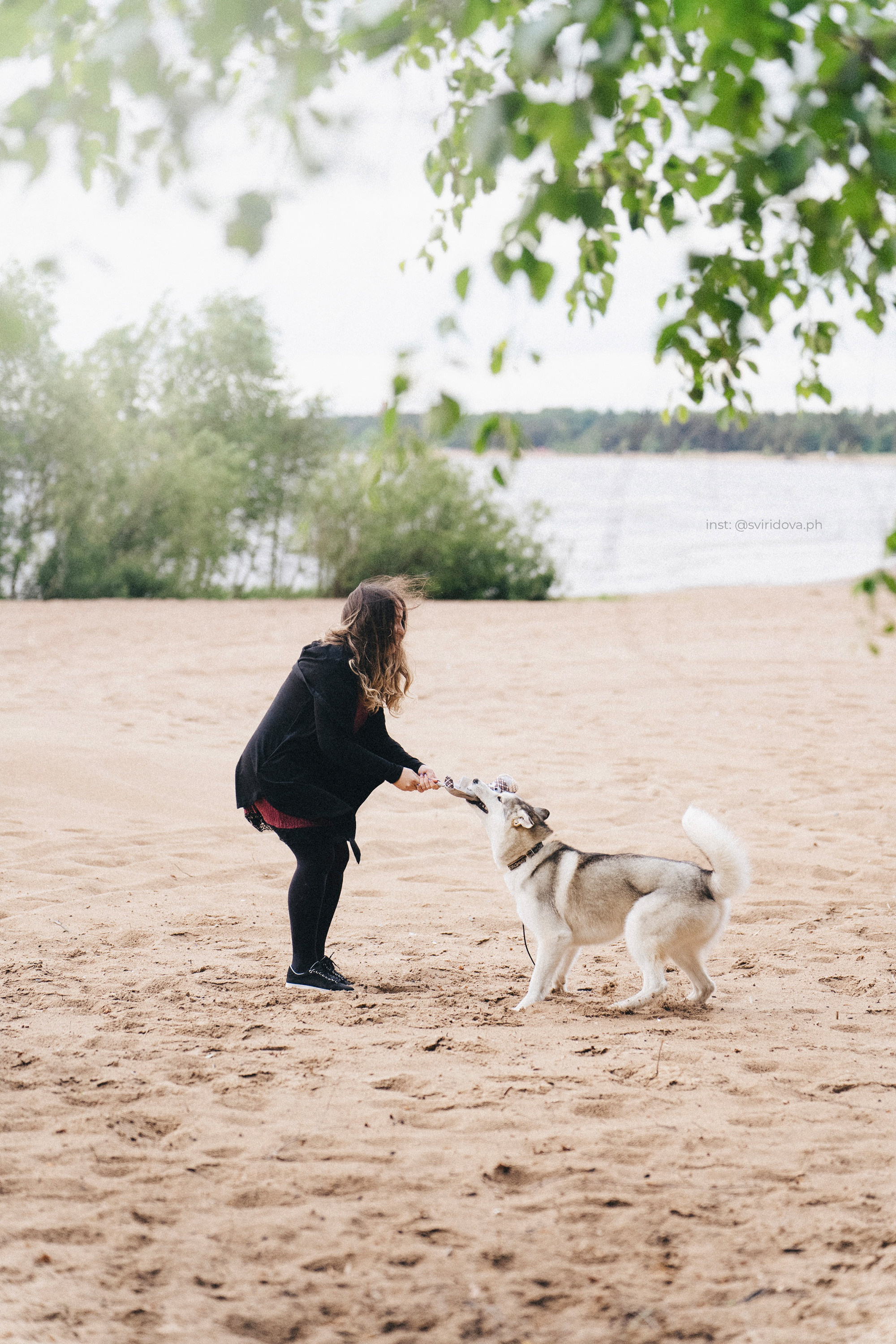 Катя, Илья, Лагерта. Фотограф анималист в Москве и Санкт-Петербурге Свиридова Анна