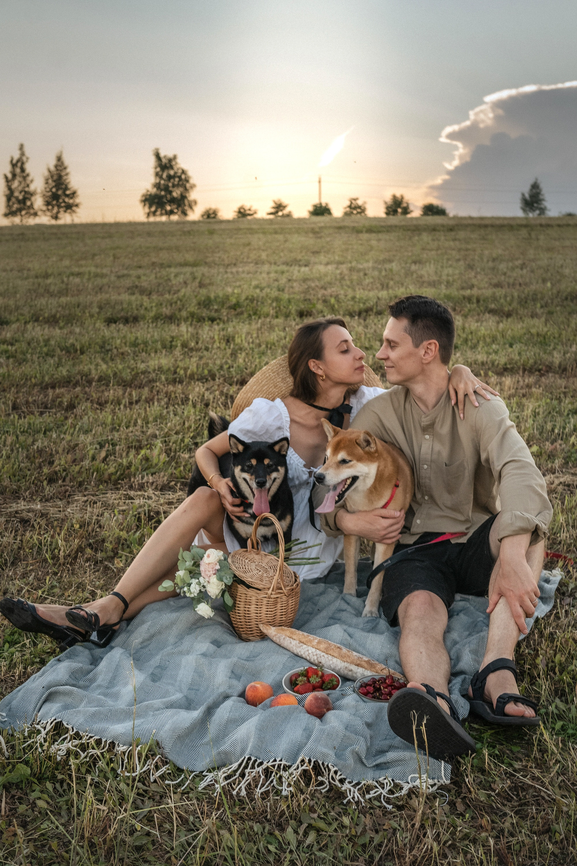 Катя, Вася, Роки и Бэлла. Фотограф анималист в Москве и Санкт-Петербурге Свиридова Анна