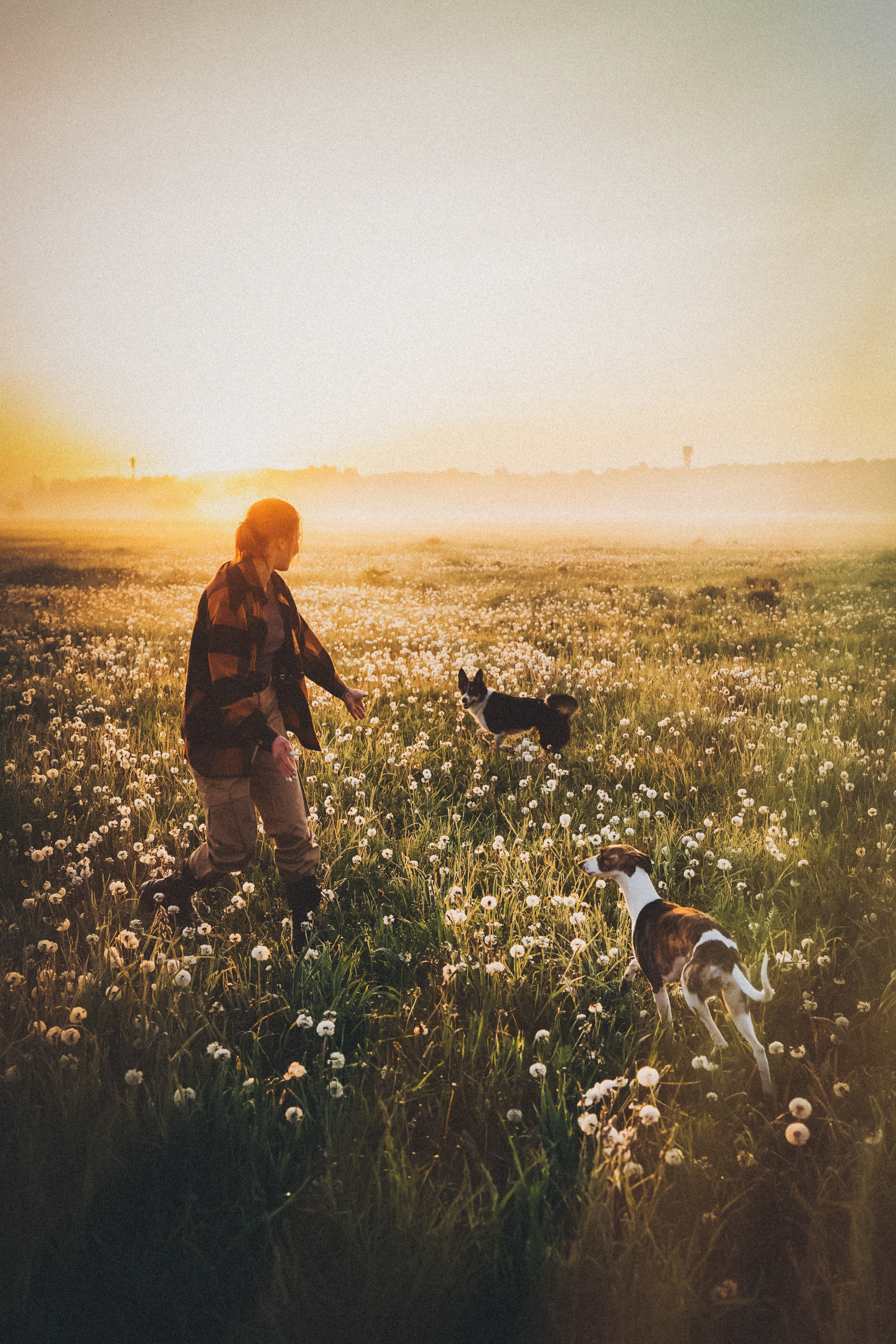 Софа, Уна и Лють. Фотограф анималист в Москве и Санкт-Петербурге Свиридова Анна