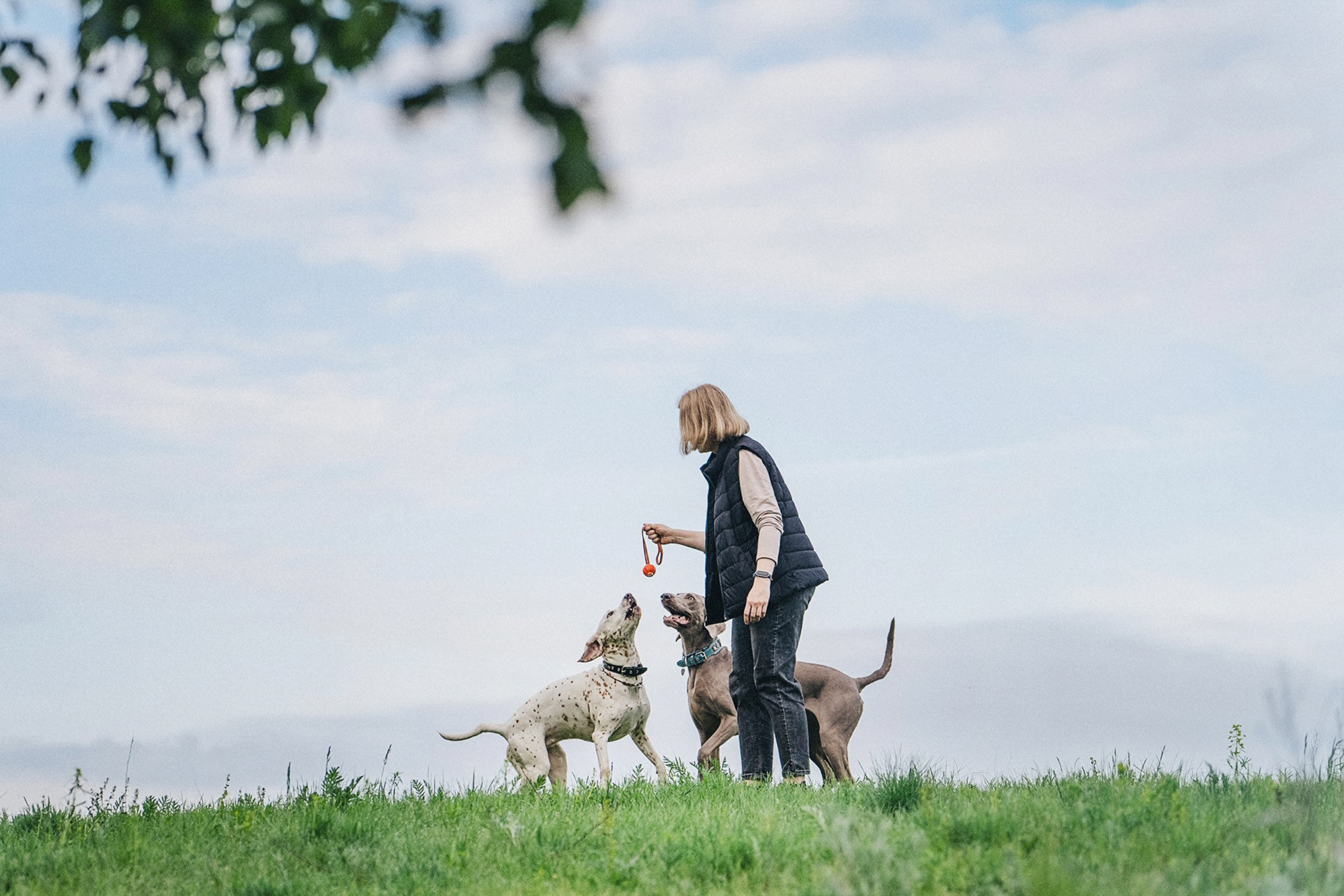Полина, Борис, Луна и Эль. Фотограф анималист в Москве и Санкт-Петербурге Свиридова Анна