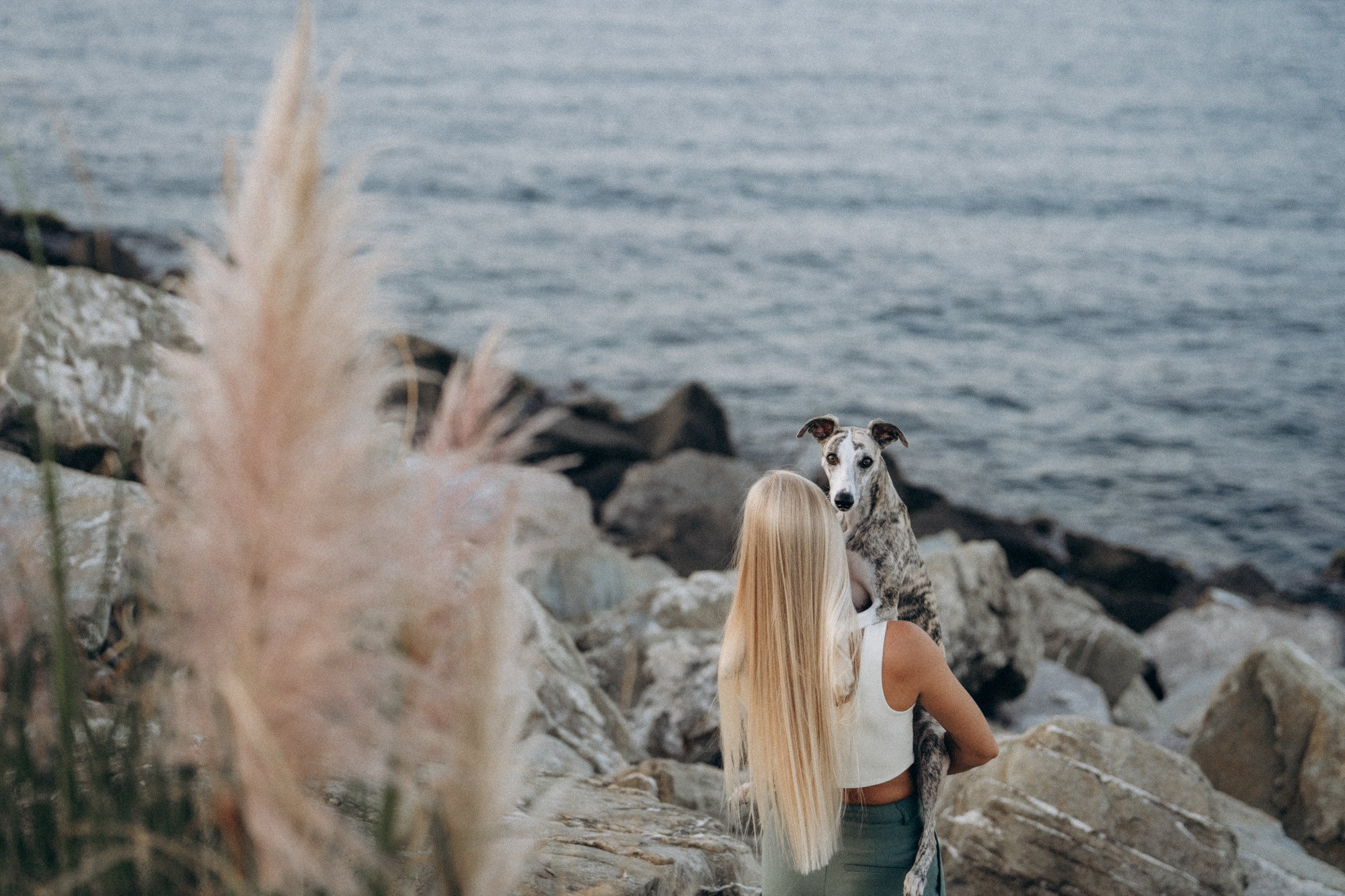 Аня и Джованни. Фотограф анималист в Москве и Санкт-Петербурге Свиридова Анна