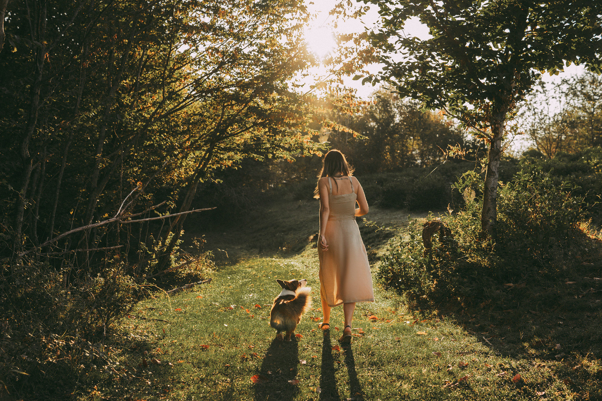 Влада и Коржики. Фотограф анималист в Москве и Санкт-Петербурге Свиридова Анна