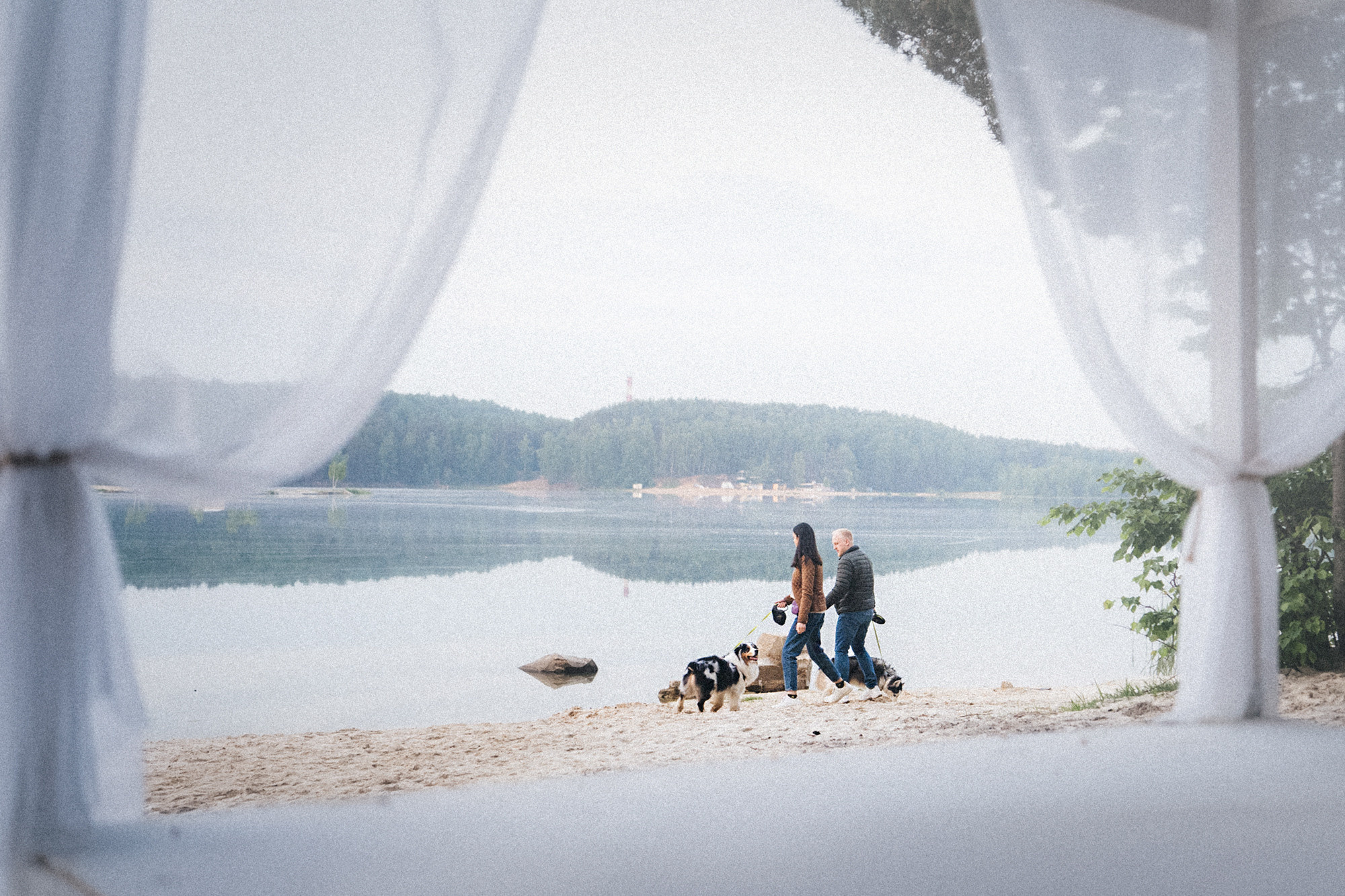 Аня, Игорь, Аусь и Хась. Фотограф анималист в Москве и Санкт-Петербурге Свиридова Анна