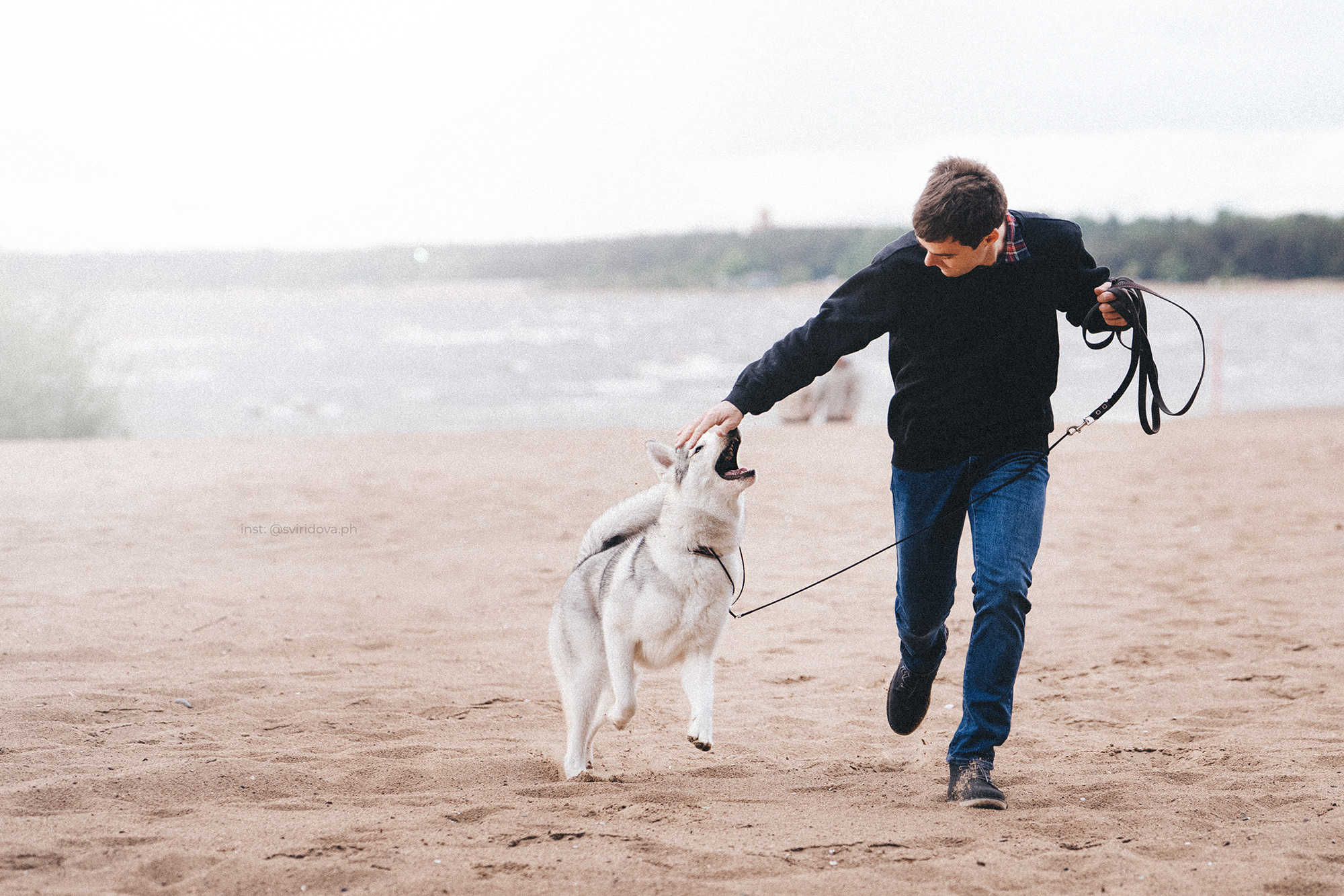 Катя, Илья, Лагерта. Фотограф анималист в Москве и Санкт-Петербурге Свиридова Анна