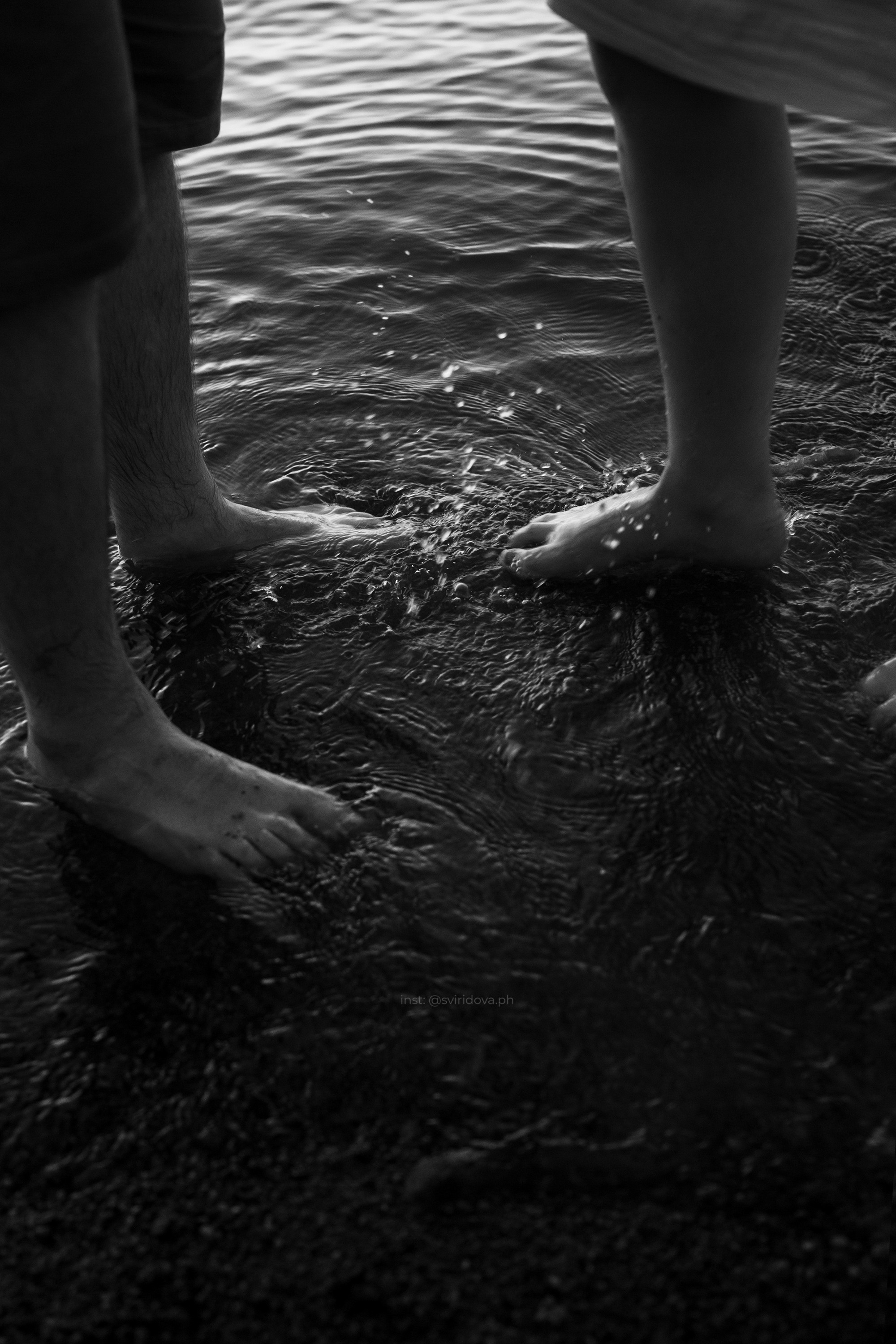 Даша, Сергей и Френки. Фотограф анималист в Москве и Санкт-Петербурге Свиридова Анна