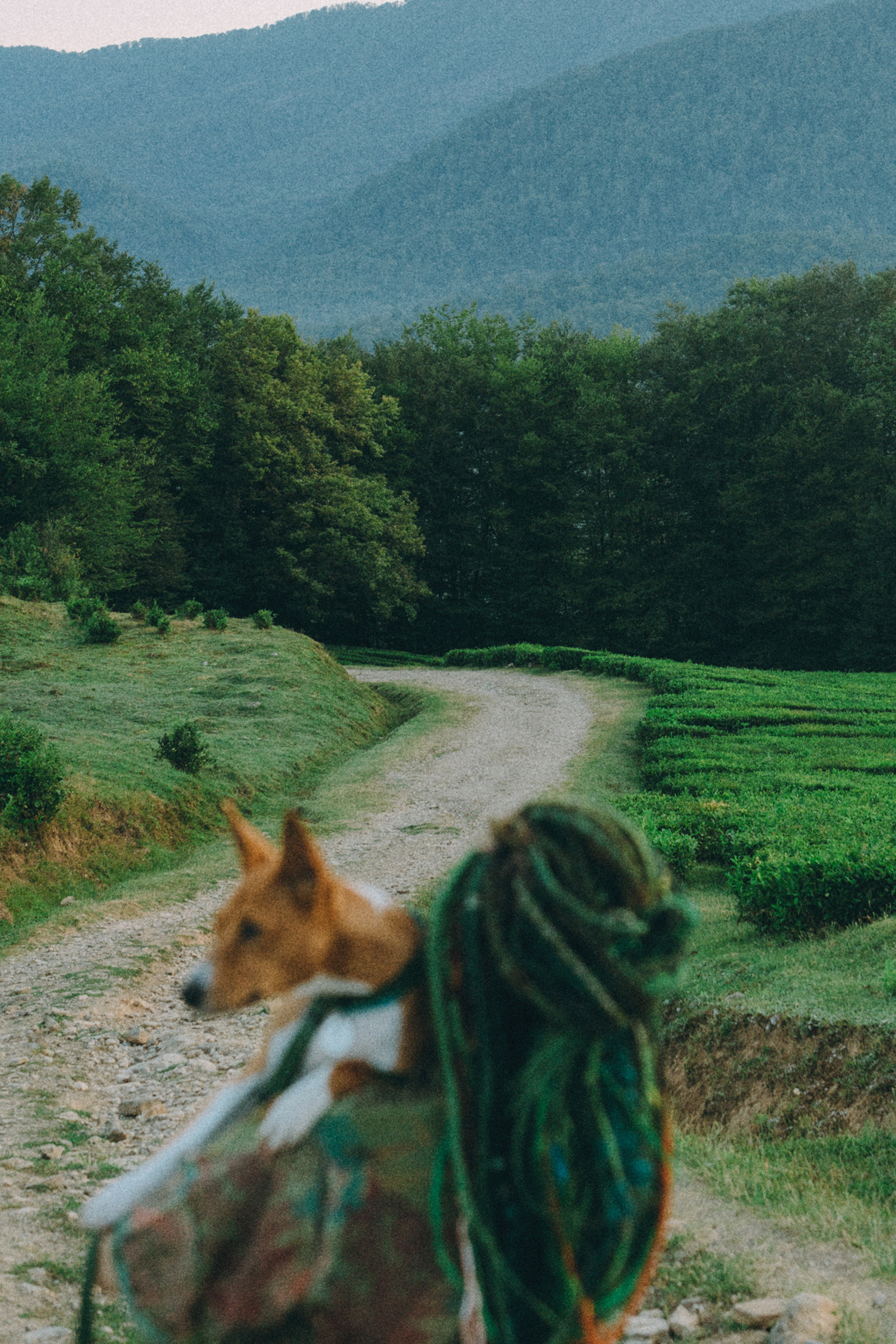 Арина и Рики. Фотограф анималист в Москве и Санкт-Петербурге Свиридова Анна