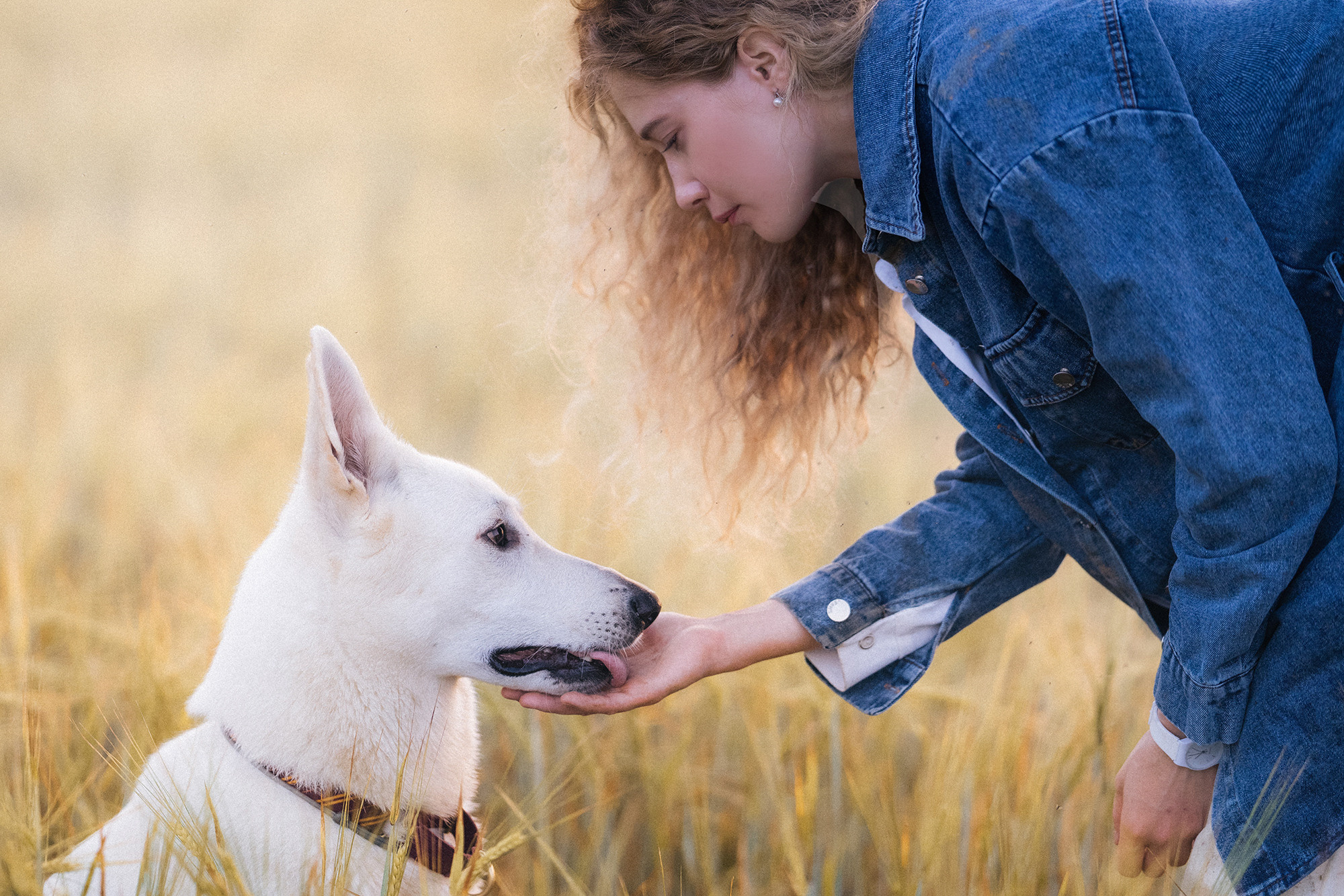 Лиза и Юста. Фотограф анималист в Москве и Санкт-Петербурге Свиридова Анна