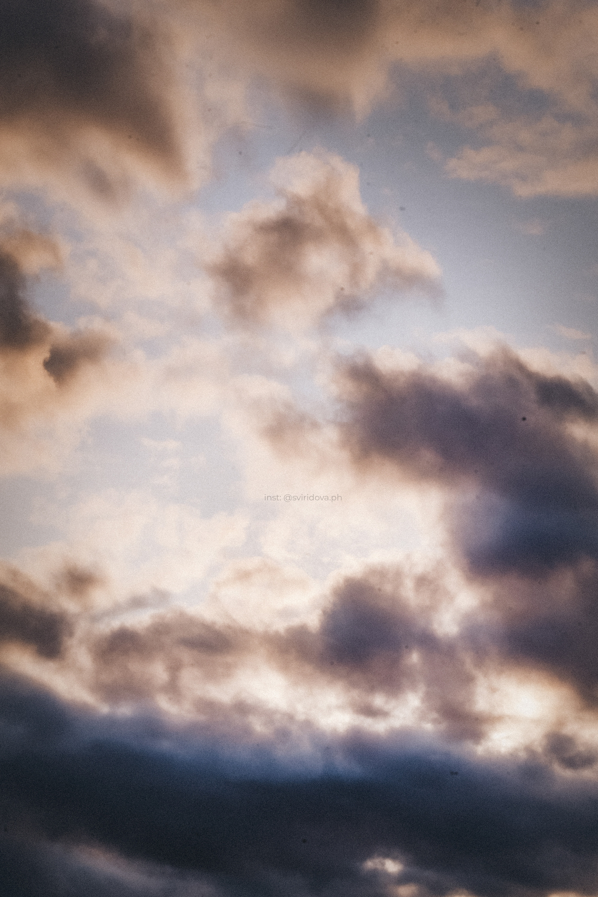 Катя, Илья, Лагерта. Фотограф анималист в Москве и Санкт-Петербурге Свиридова Анна