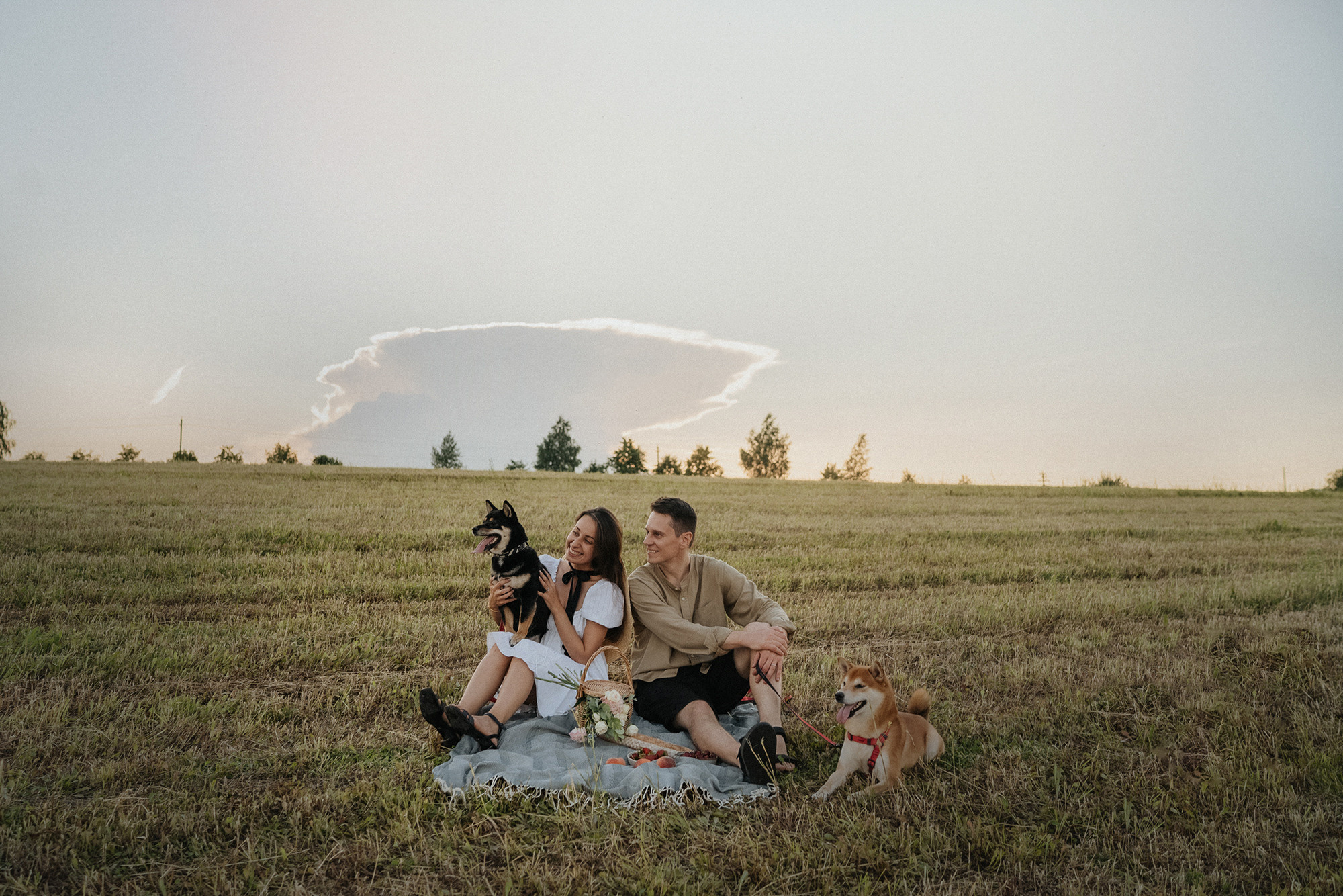 Катя, Вася, Роки и Бэлла. Фотограф анималист в Москве и Санкт-Петербурге Свиридова Анна