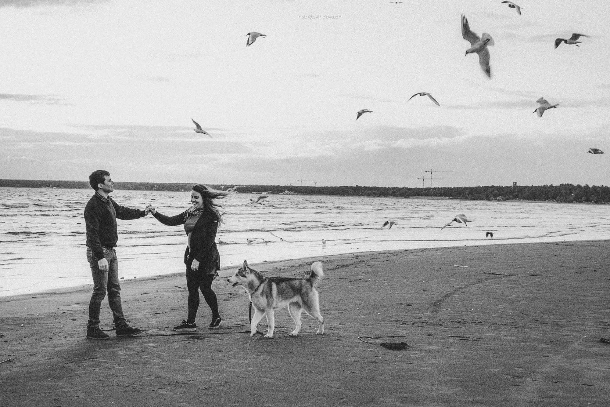 Катя, Илья, Лагерта. Фотограф анималист в Москве и Санкт-Петербурге Свиридова Анна