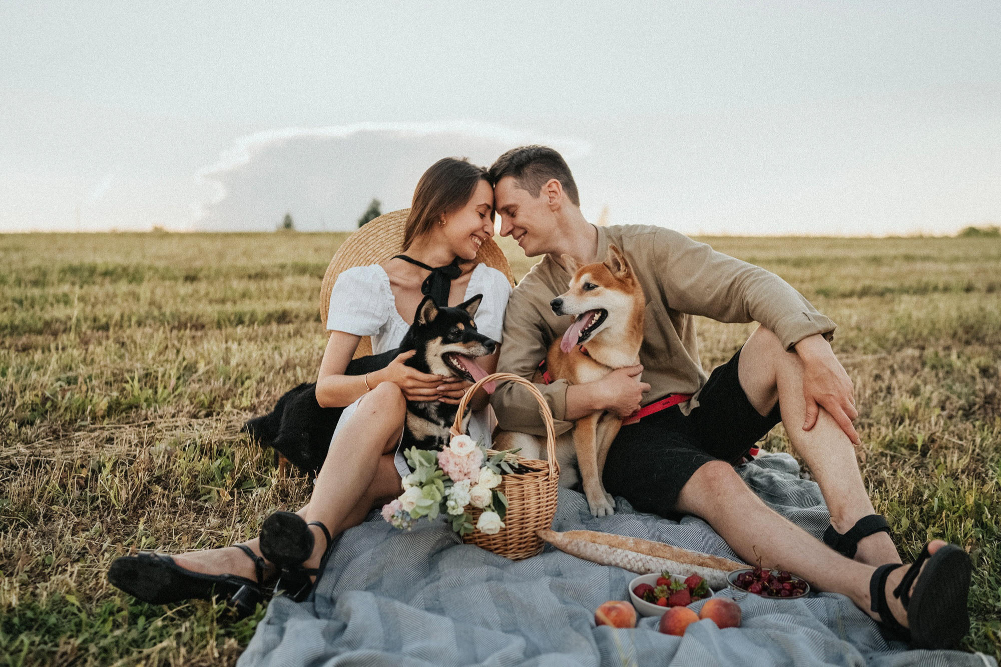 Катя, Вася, Роки и Бэлла. Фотограф анималист в Москве и Санкт-Петербурге Свиридова Анна