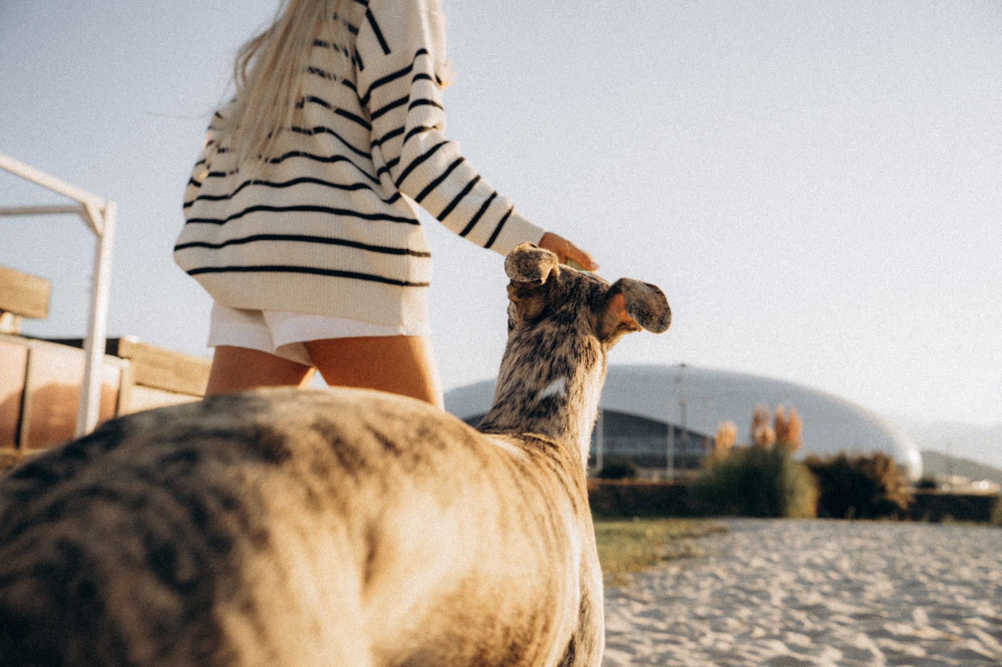 Аня и Джованни. Фотограф анималист в Москве и Санкт-Петербурге Свиридова Анна