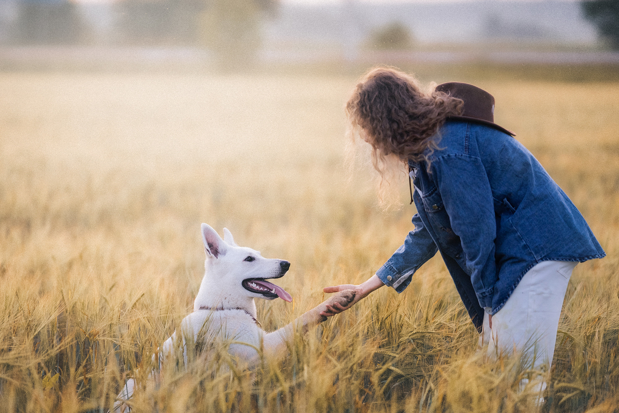 Лиза и Юста. Фотограф анималист в Москве и Санкт-Петербурге Свиридова Анна